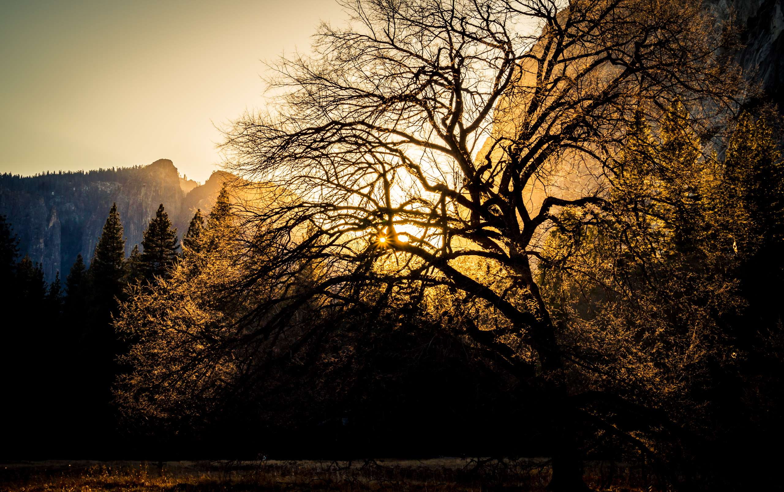no people, glow, woodland, plant, sunset, tranquil scene, non-urban scene, tree, beauty in nature, 2K, scenics - nature, beautiful, sunglow, outdoors, HD Wallpaper