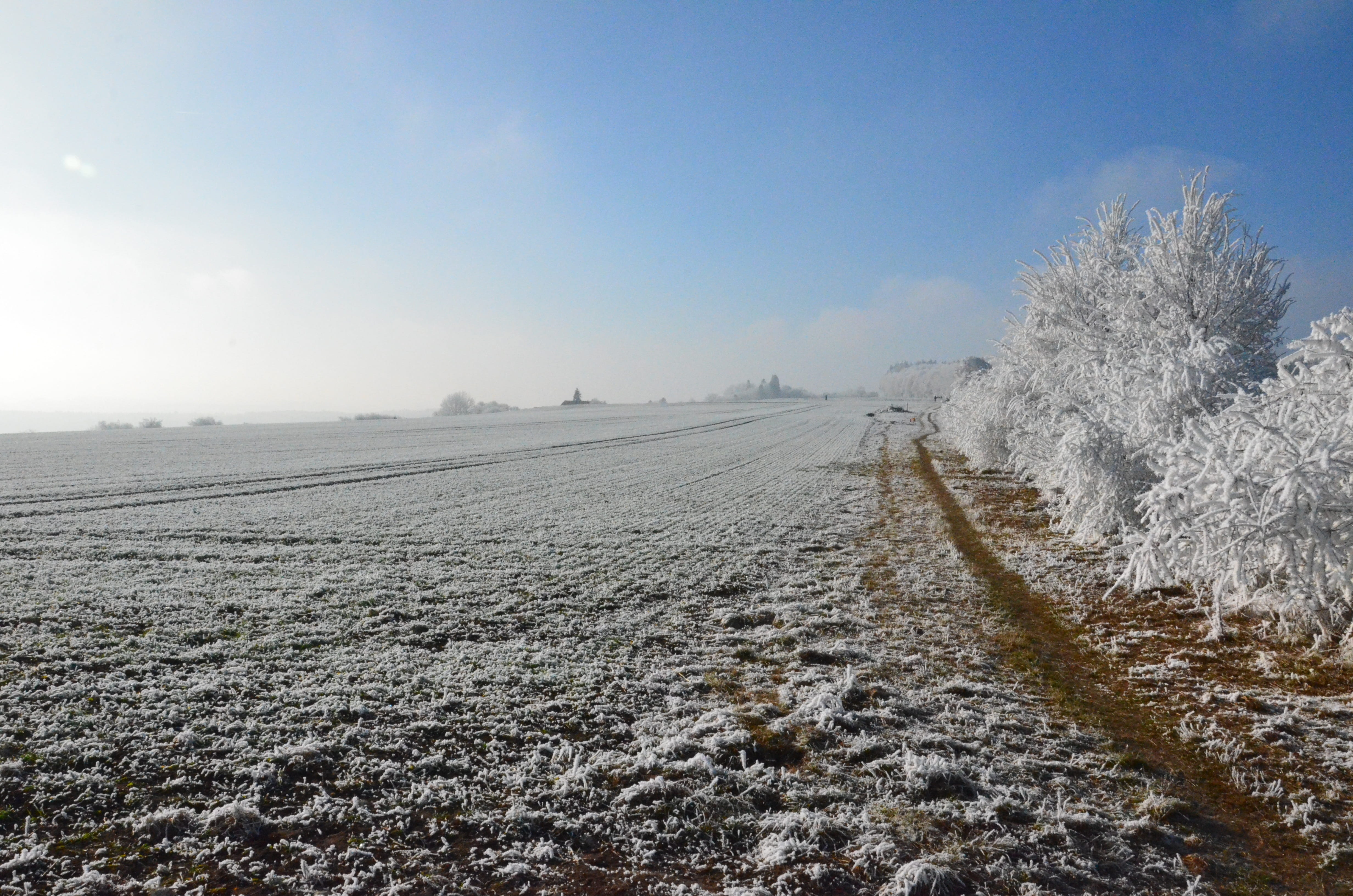 Winter, hiking, winter mood, no People, cold - Temperature, scenics - nature, white, season, Nature, rest, arable, snowfield, Mountains, idyll, germany, HD Wallpaper
