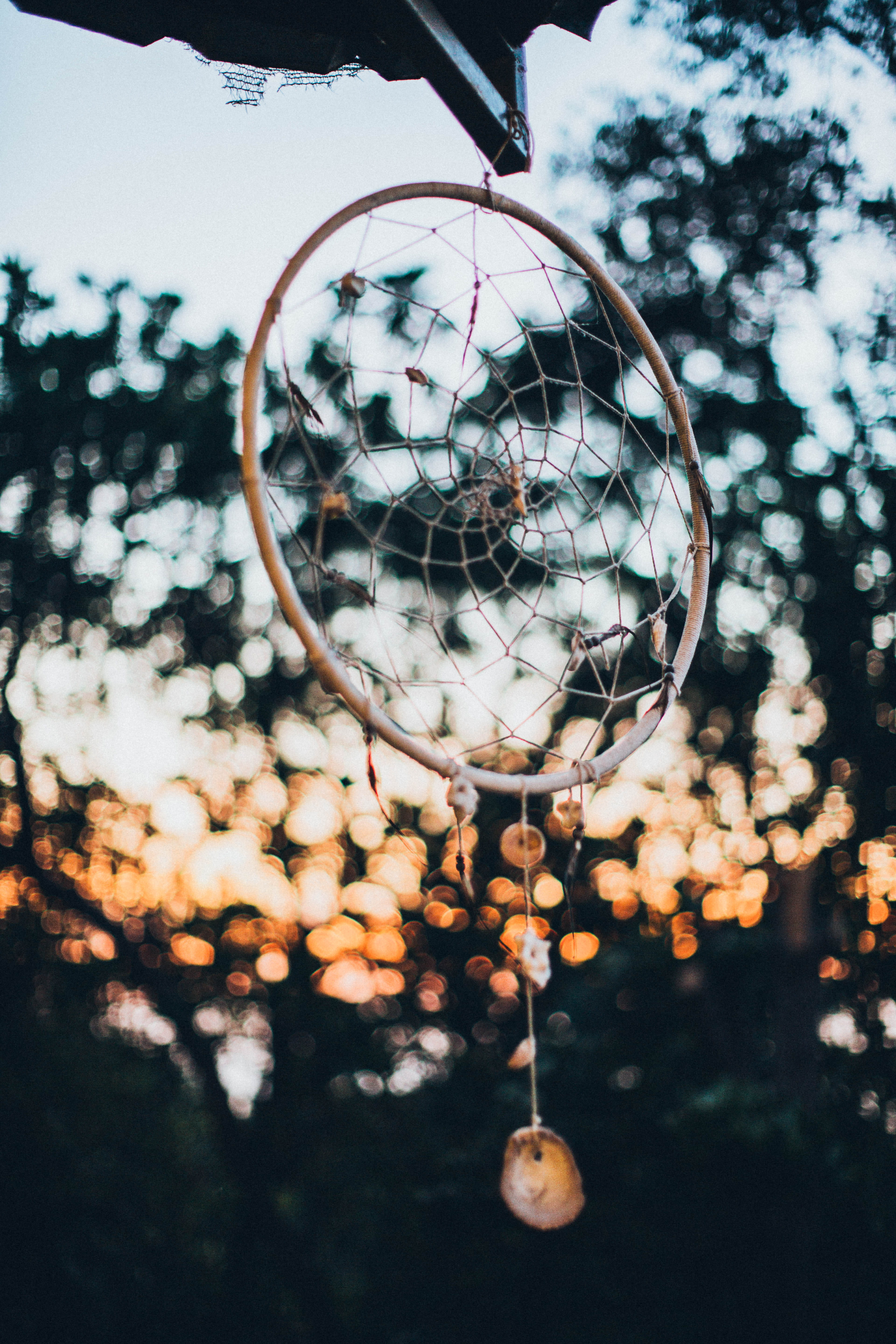 net, close-up, bright, day, 5K, round out, shape, low angle view, focus on foreground, colors, nature, blur, design, tree, selective focus, decoration, Phone HD Wallpaper