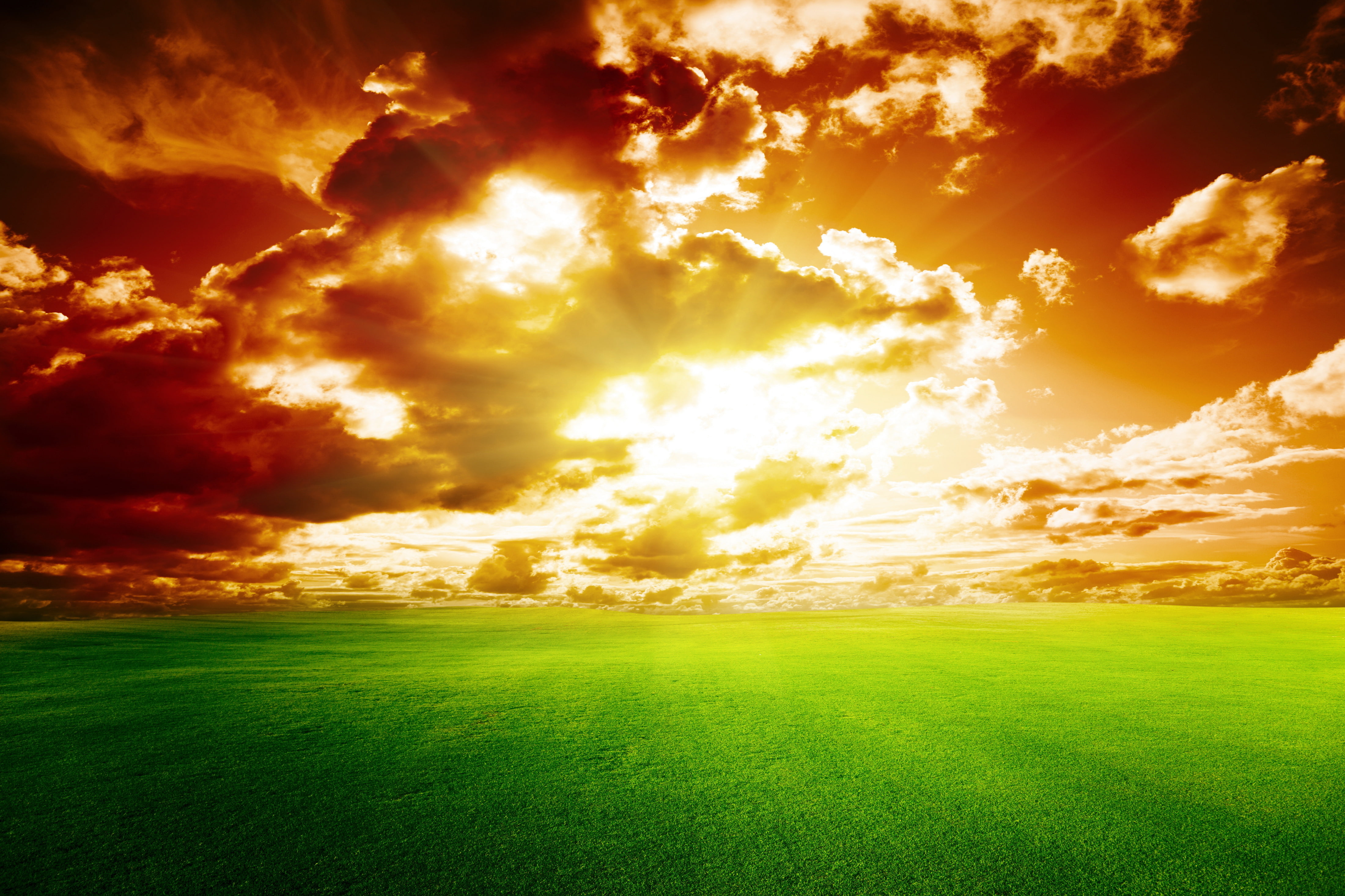 4K, Perfect Sunset, 4K, Green grass, Sunset, Red Sky, HD Wallpaper