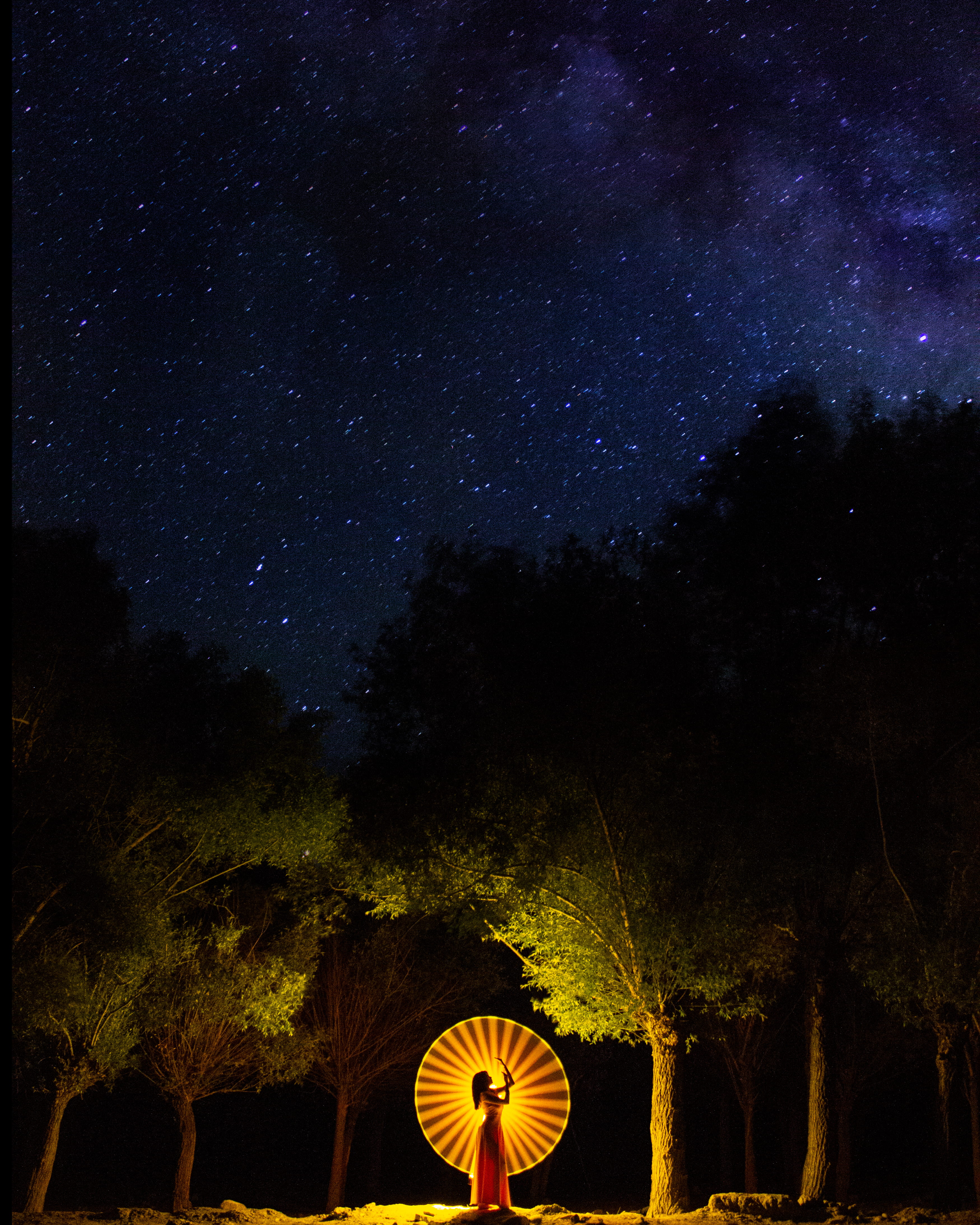 illuminated, scenics - nature, stunning, star field, nature, tube, stripe, star, constellation, perfect, tress, galaxy, space, standing, gorgeou, astronomy, Phone HD Wallpaper
