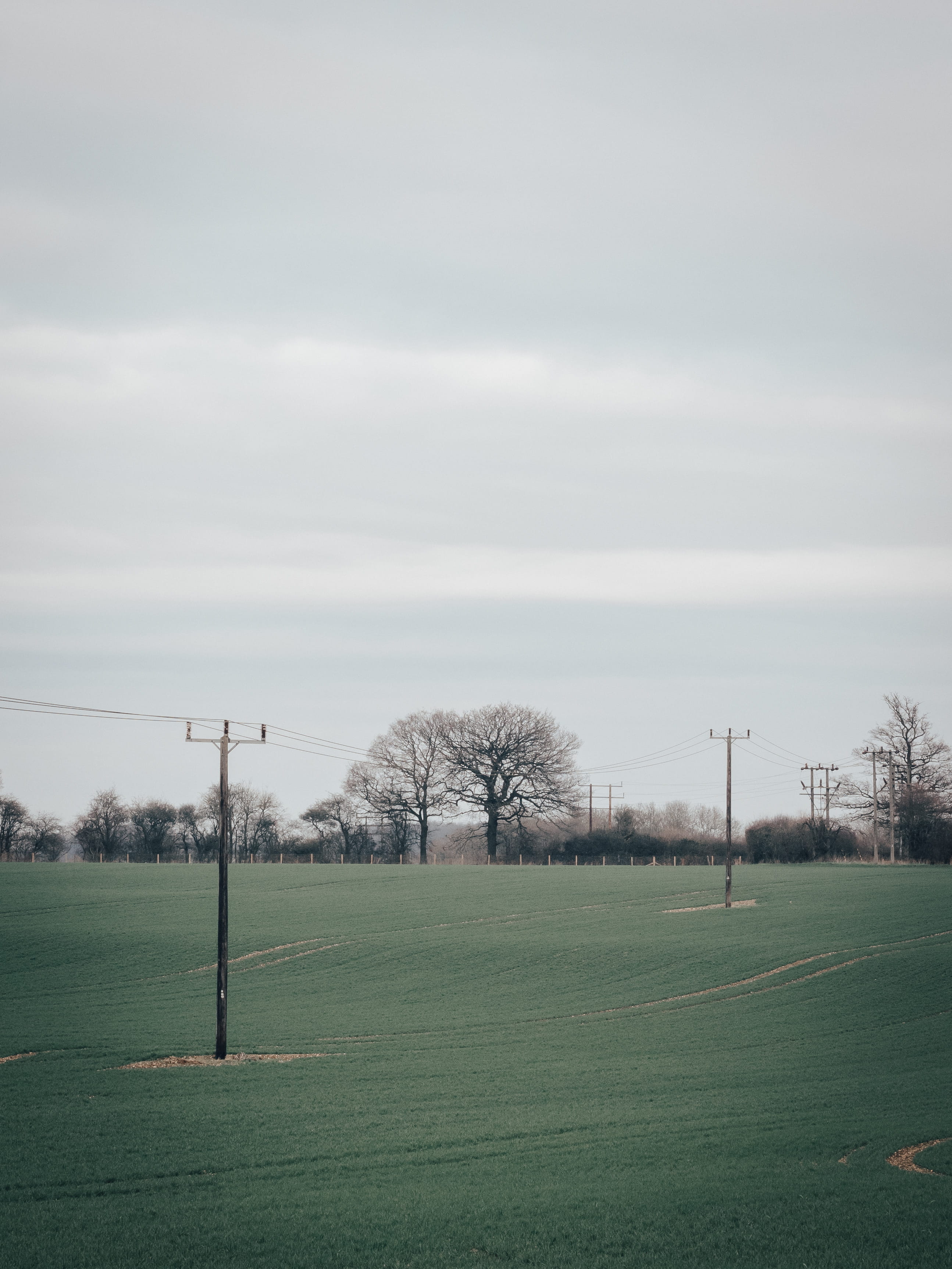 wire, telephoneposts, country, green, grass, tranquility, land, 2K, telephone, environment, sky, green color, countryside, distance, sport, tree, field, Phone HD Wallpaper