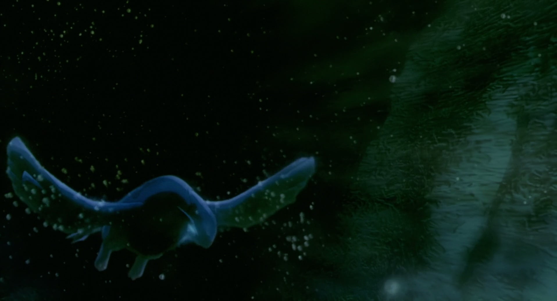 outdoors, sea, glass - material, marine, Lugia (Pokémon), animal wildlife, vertebrate, animal themes, sea life, Movie, animals in captivity, Pokémon: The Movie 2000, HD Wallpaper