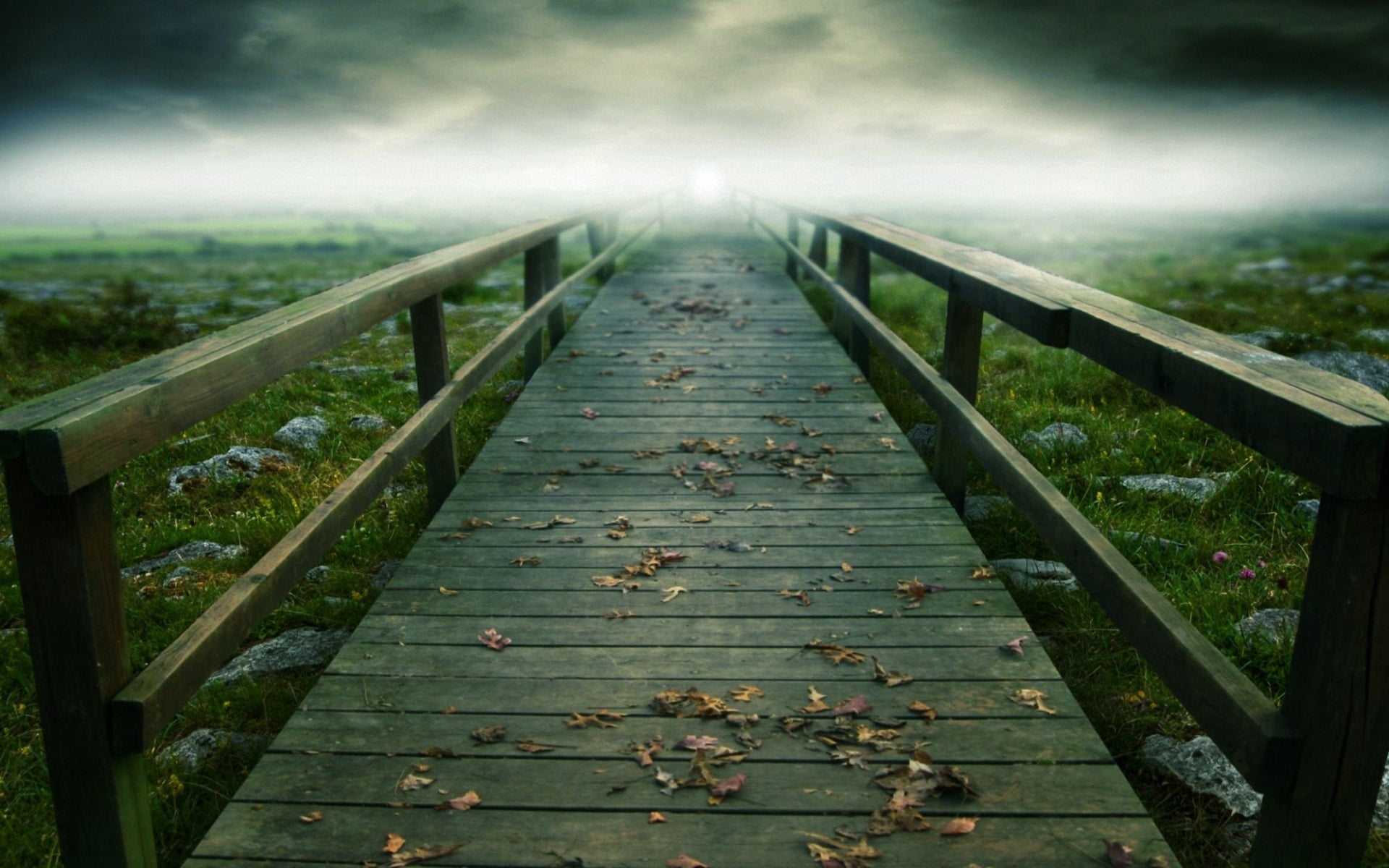 land, tranquility, leaves, path, board, rain, tranquil scene, river, fog, wood - Material, wood, railing, backgrounds, day, outdoors, green Color, sky, HD Wallpaper