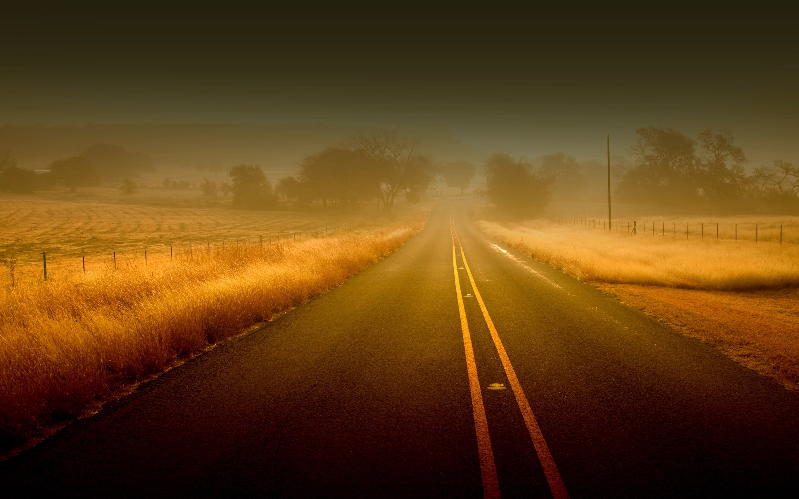 strips, asphalt, road, lines, autumn, grass, uncertainty, 2K, fields, fog, HD Wallpaper
