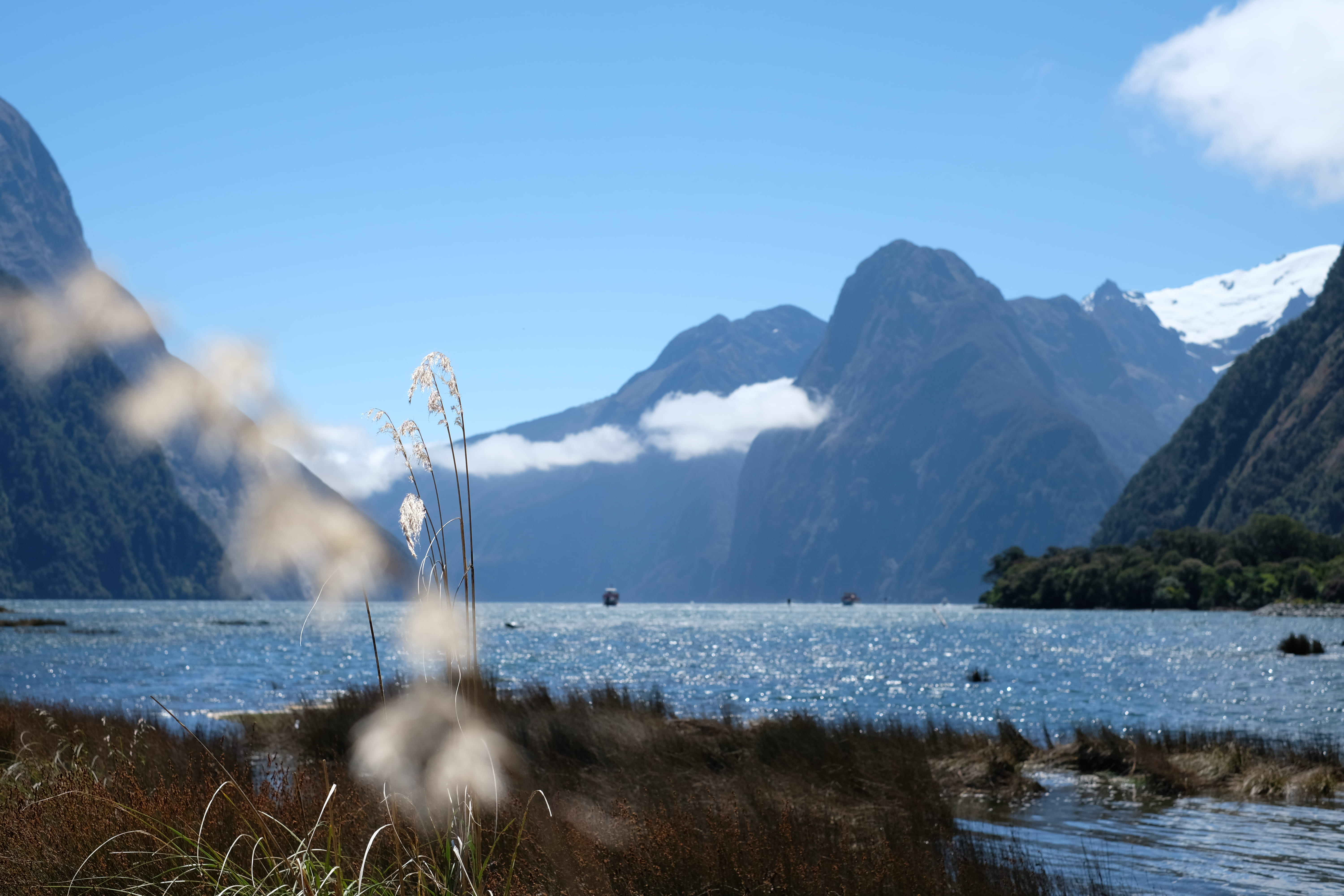 power in nature, water, plant, lake, no people, nature, cold temperature, new zealand, snow, outdoors, 5K, scenics - nature, cloud, milford sound, sound, HD Wallpaper