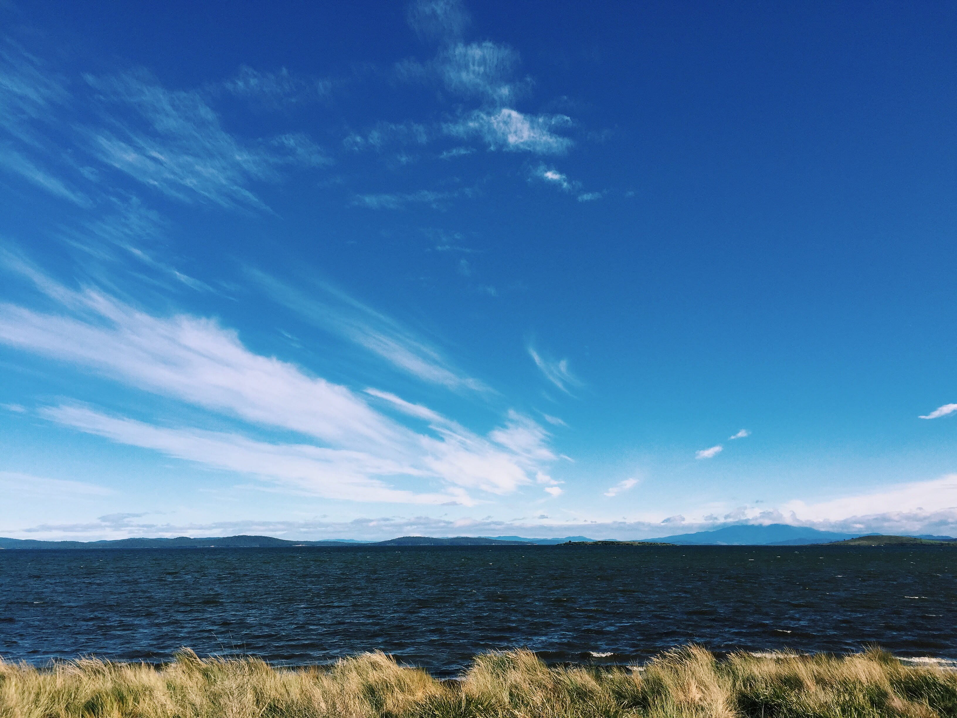 plant, day, environment, non-urban scene, beauty in nature, outdoors, 2K, cloud - sky, australia, tranquility, sky, scenics - nature, newzealand, land, HD Wallpaper