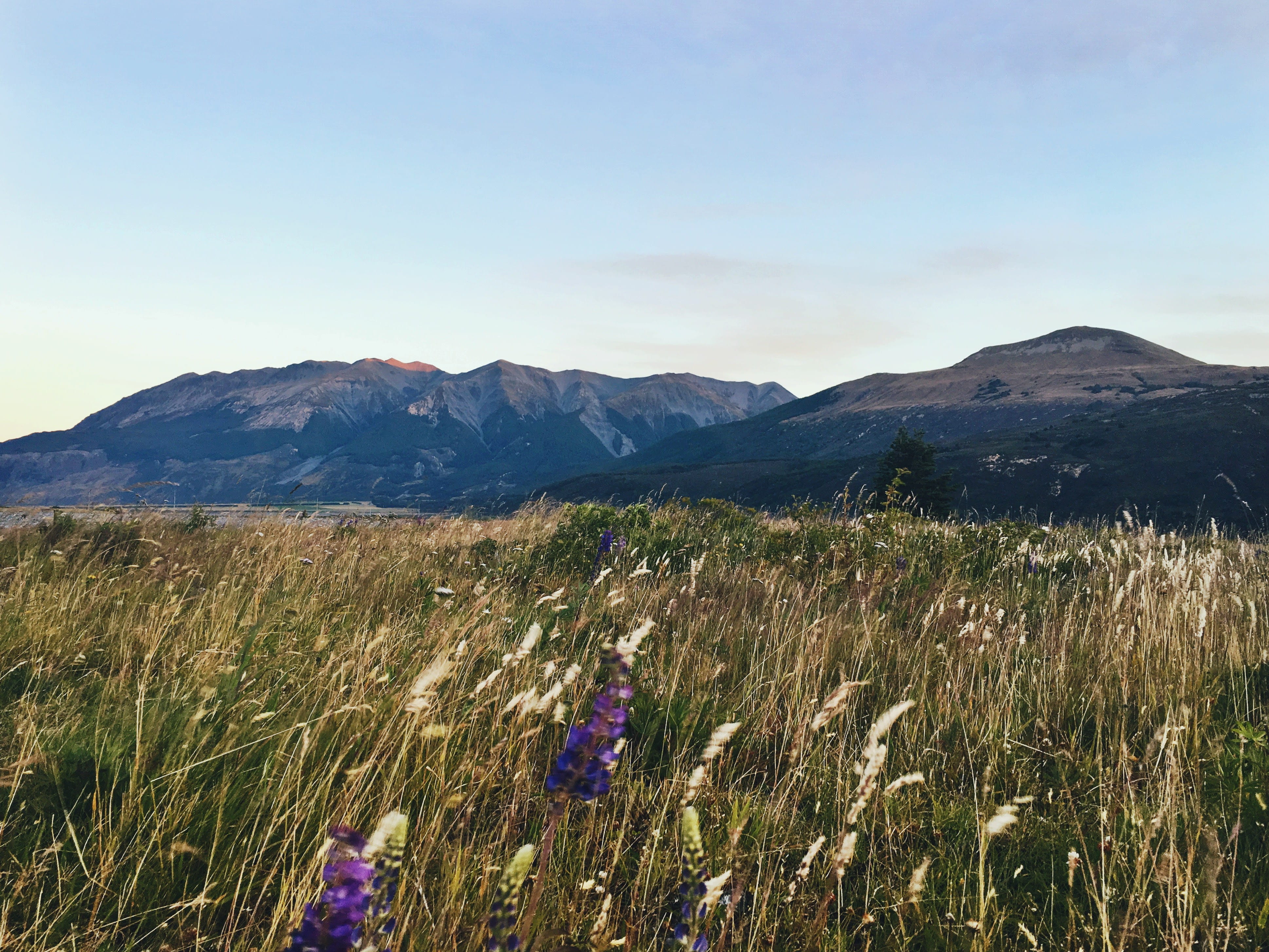 scenics - nature, nature, mountain, sunset, idyllic, grass, land, no people, landscape, mountain range, environment, road trip, sun, growth, field, 4K, HD Wallpaper