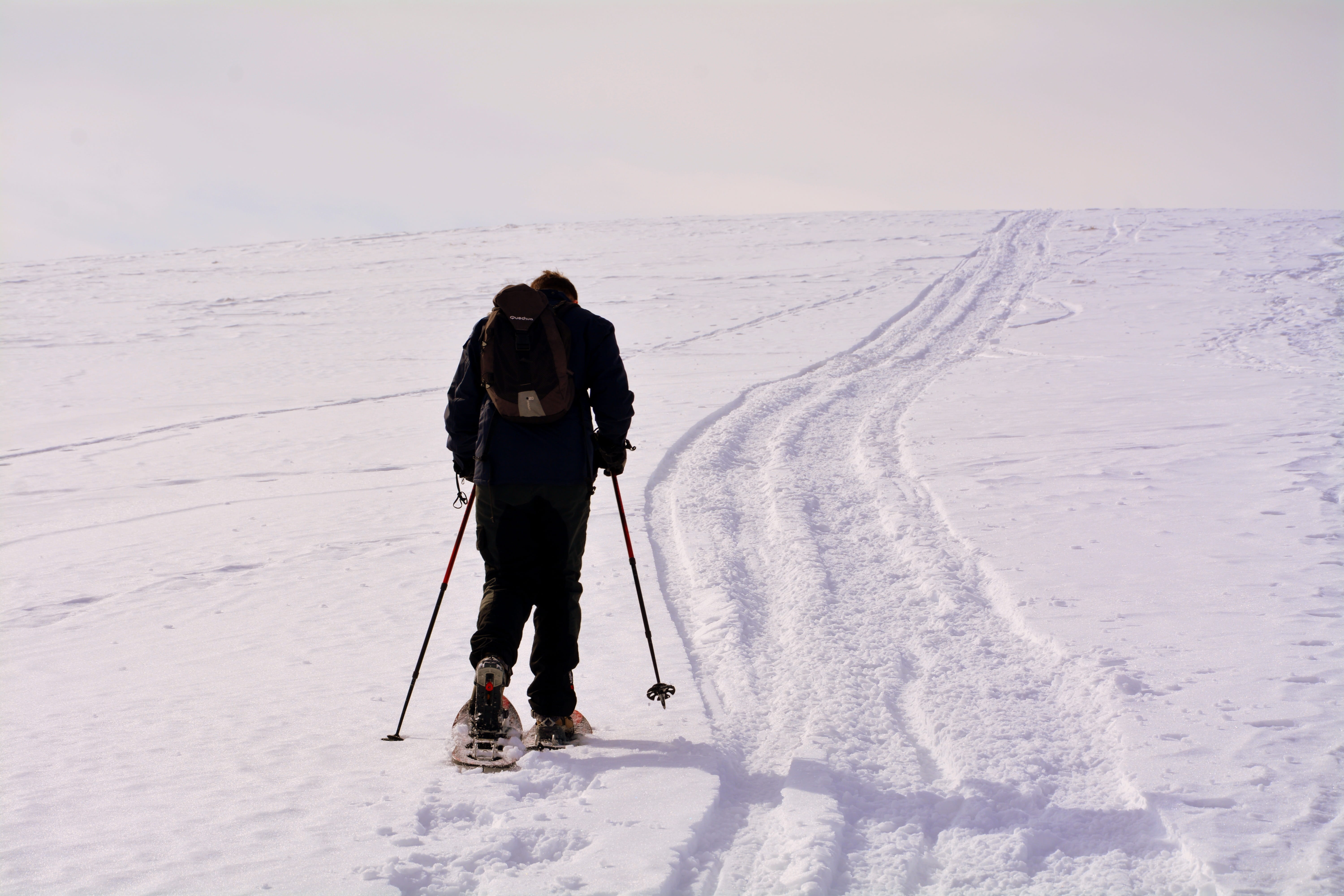 adventure, leisure activity, scenics - nature, snow, mountain, land, lifestyles, winter, sport, 5K, ski-wear, cold, winter sport, ice, rear view, full length, HD Wallpaper