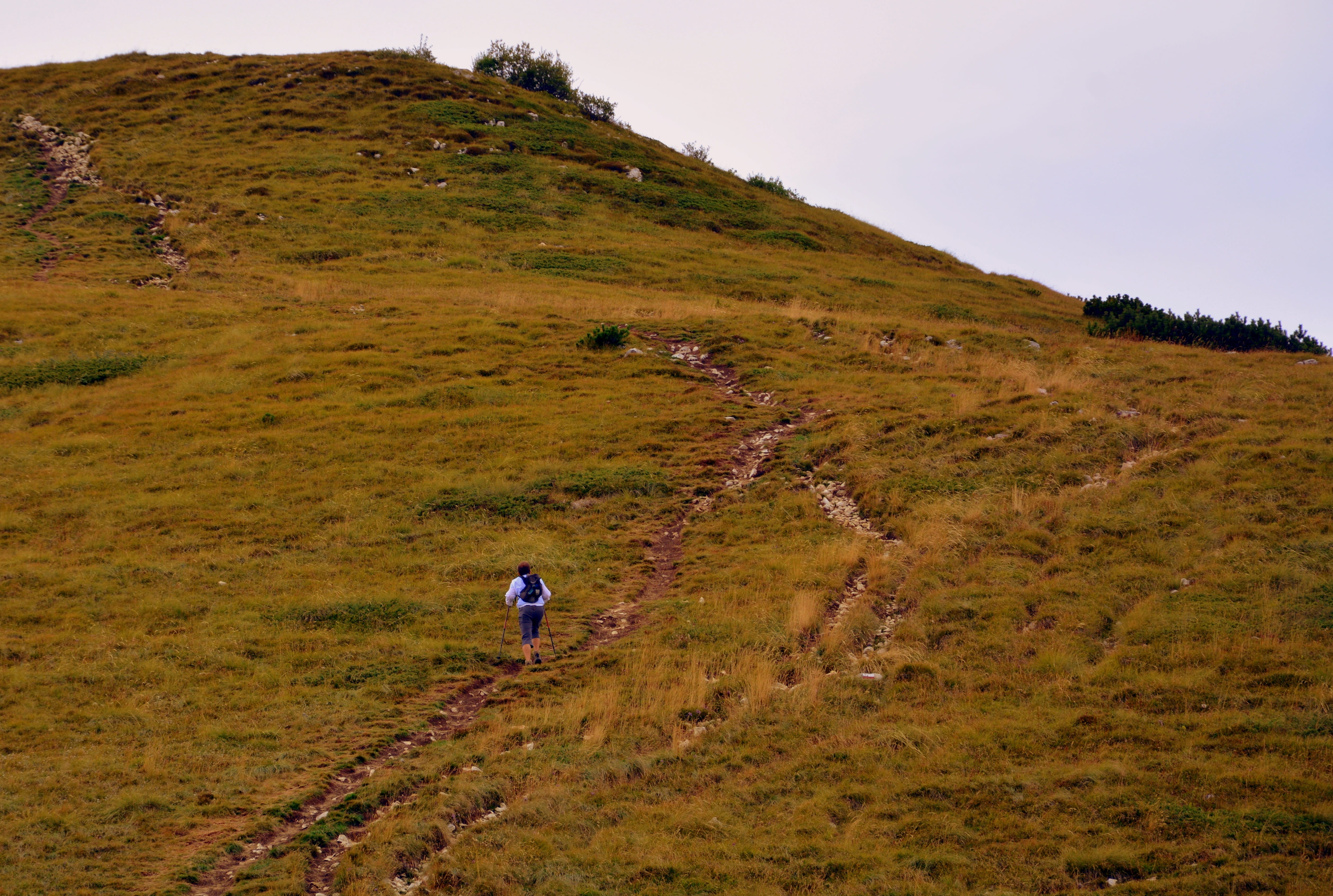 scenics - nature, trekking, beauty in nature, grass, 4K, baldo, environment, walking, lifestyles, walk, tranquil scene, one person, field, hiking, land, HD Wallpaper