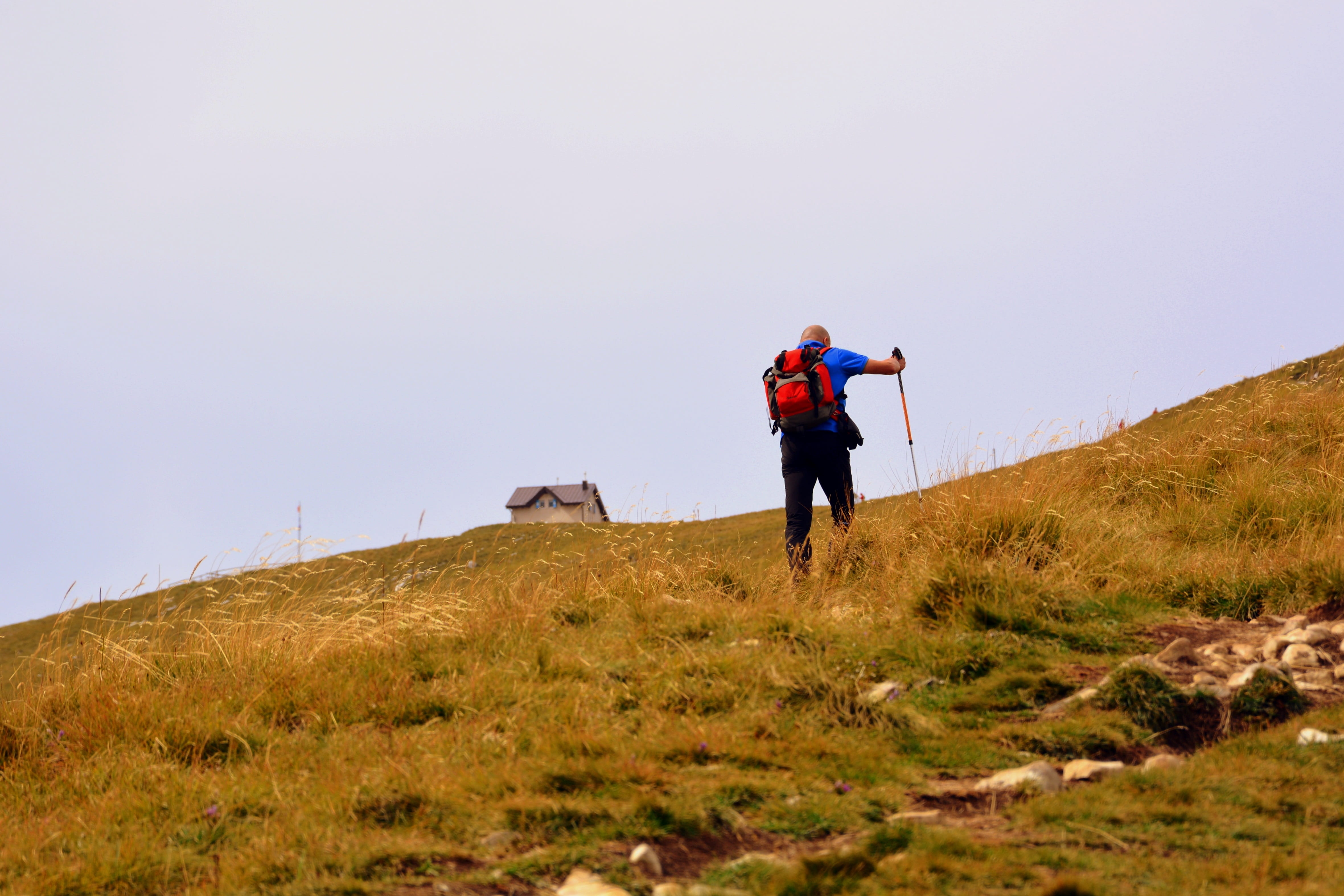 grass, mountain, walk, adult, lifestyles, nature, baldo, healthy lifestyle, sky, hiking, adventure, full length, 4K, one person, exploration, trekking, HD Wallpaper