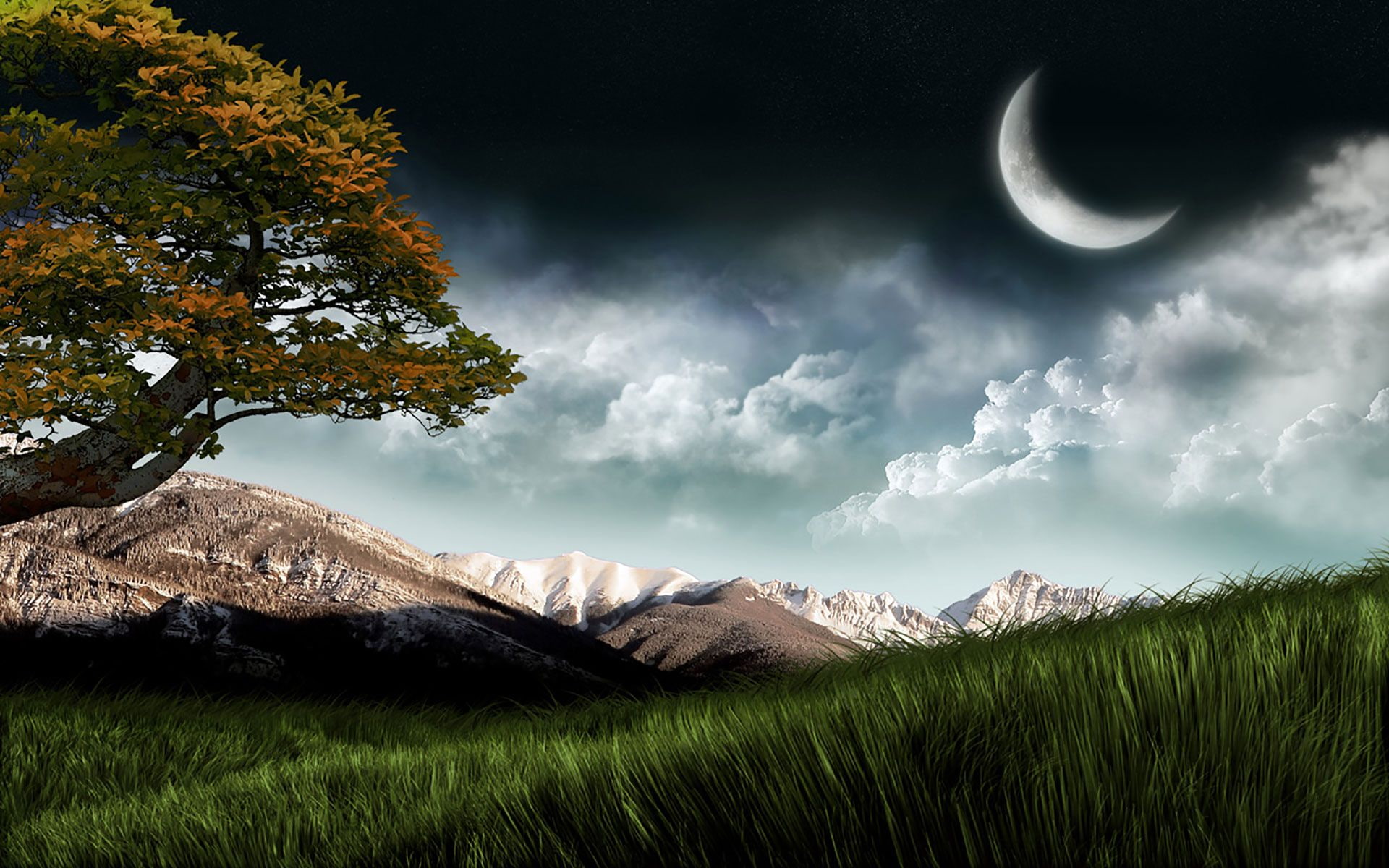 moon, non-urban scene, astronomy, tranquility, grass, full moon, tree, scenics - nature, mountain range, landscape, beauty in nature, mountain peak, idyllic, HD Wallpaper