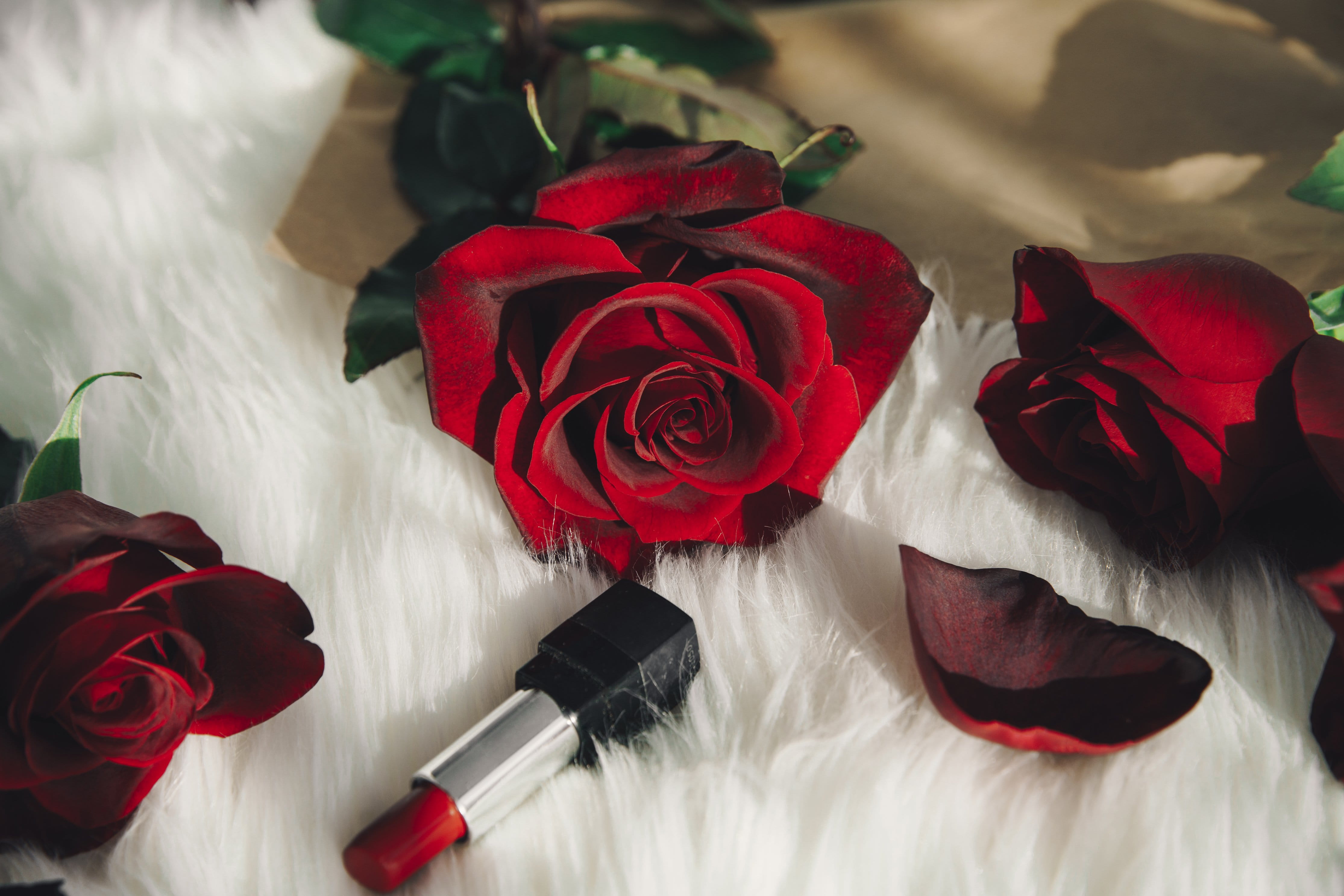 indoors, rose - flower, lipstick, nature, no people, flowering plant, petal, bouquet, fragility, flower, photo, Valentines Day, flower head, Rose, Romantic, HD Wallpaper