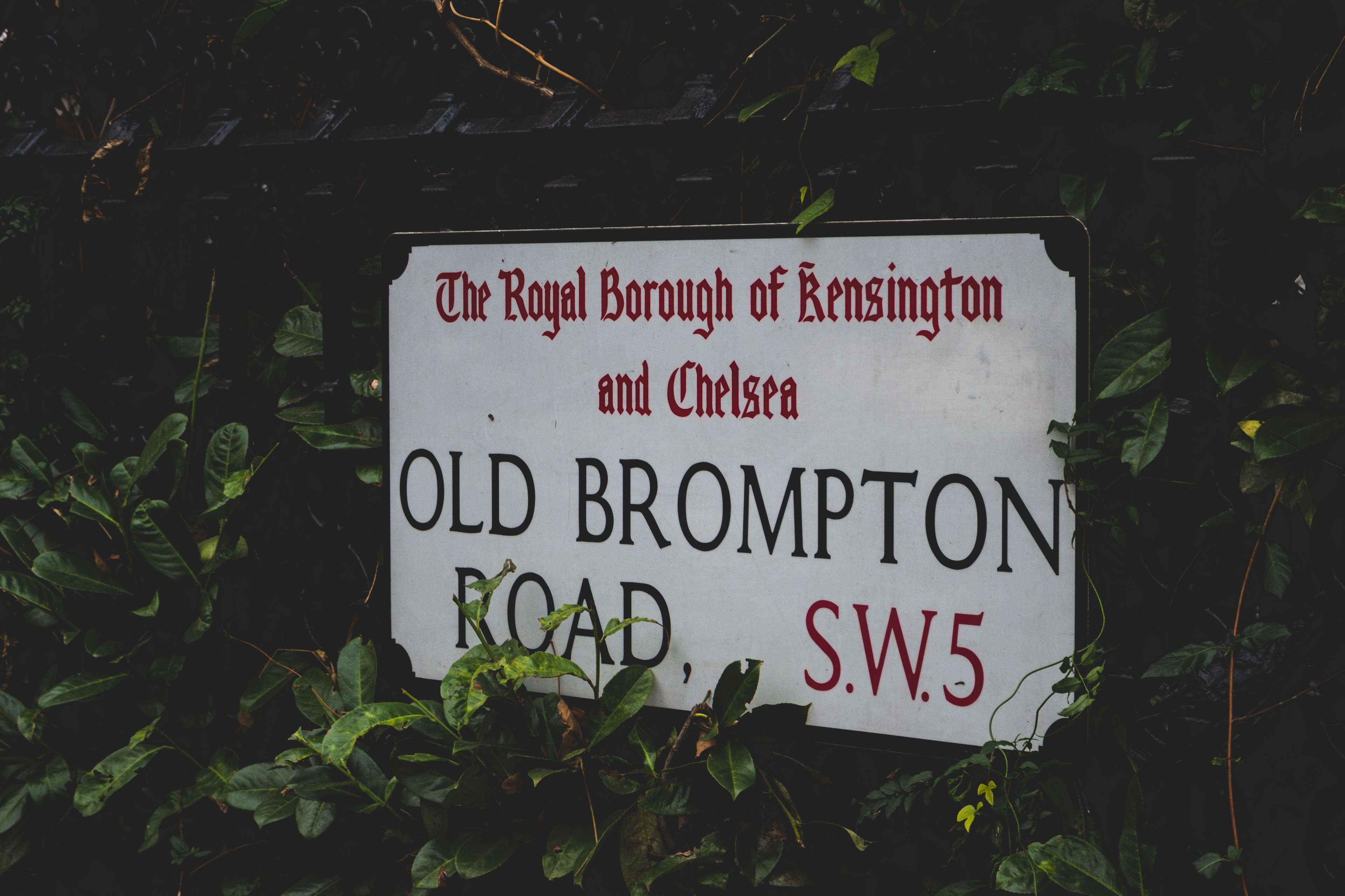 western script, environment, business, communication, fence, landmark, plant, banner, green color, london, leaf, day, close-up, signboard, building, leaves, HD Wallpaper
