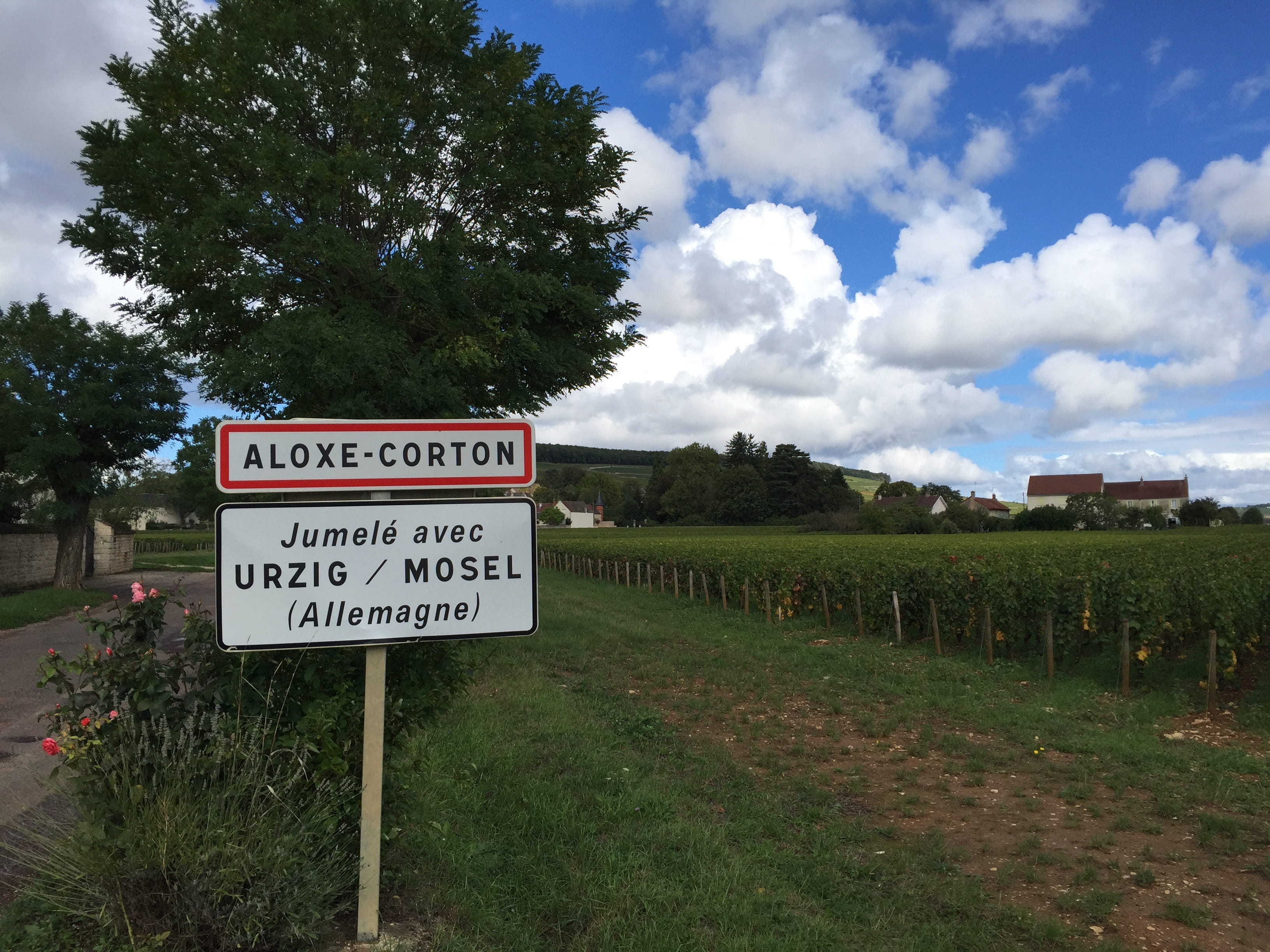 sign, green color, field, day, grass, sky, guidance, no people, chardonnay, plant, nature, information, pinot noir, land, text, vineyard, burgundy, cloud - sky, HD Wallpaper