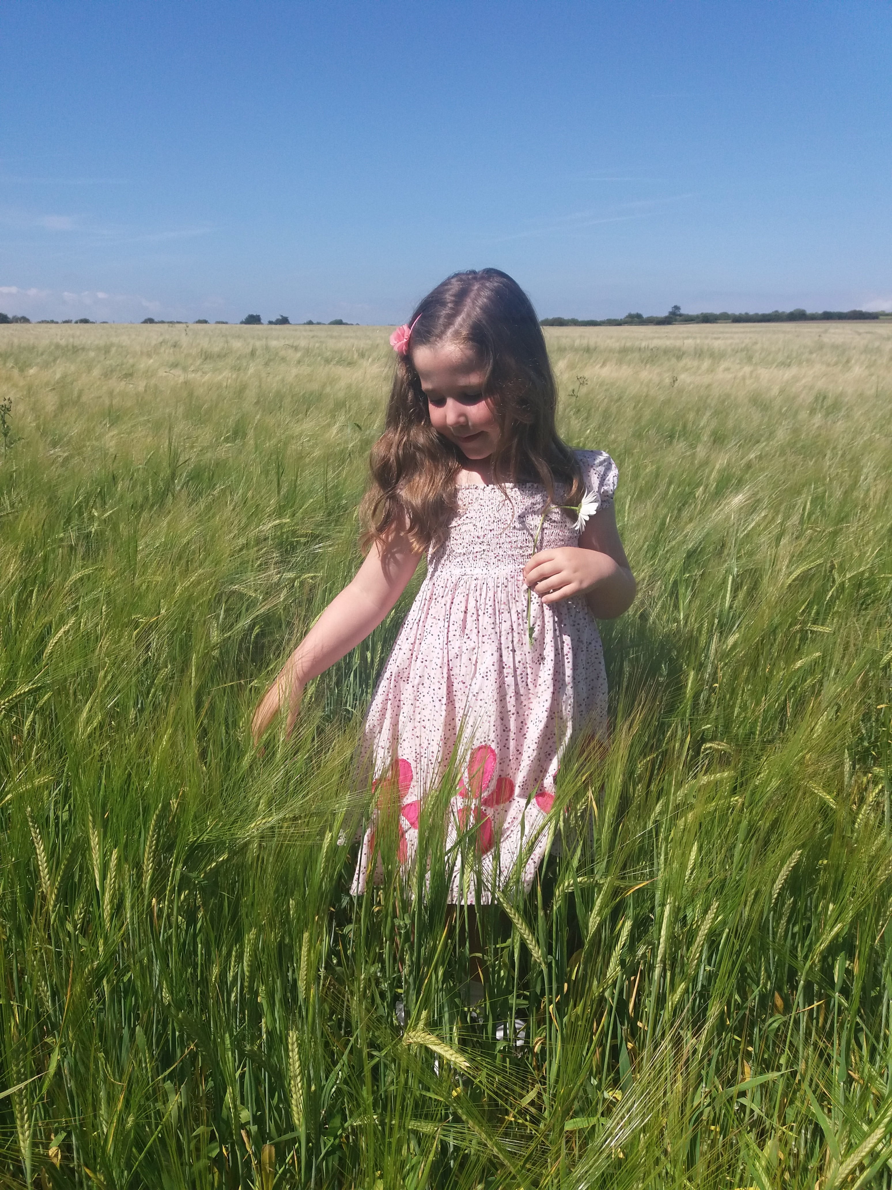 nature, girls, kid, day, land, happiness, love, smile, innocence, real people, childhood, grass, standing, Field, Girl, daughter, small, lifestyles, female, Phone HD Wallpaper