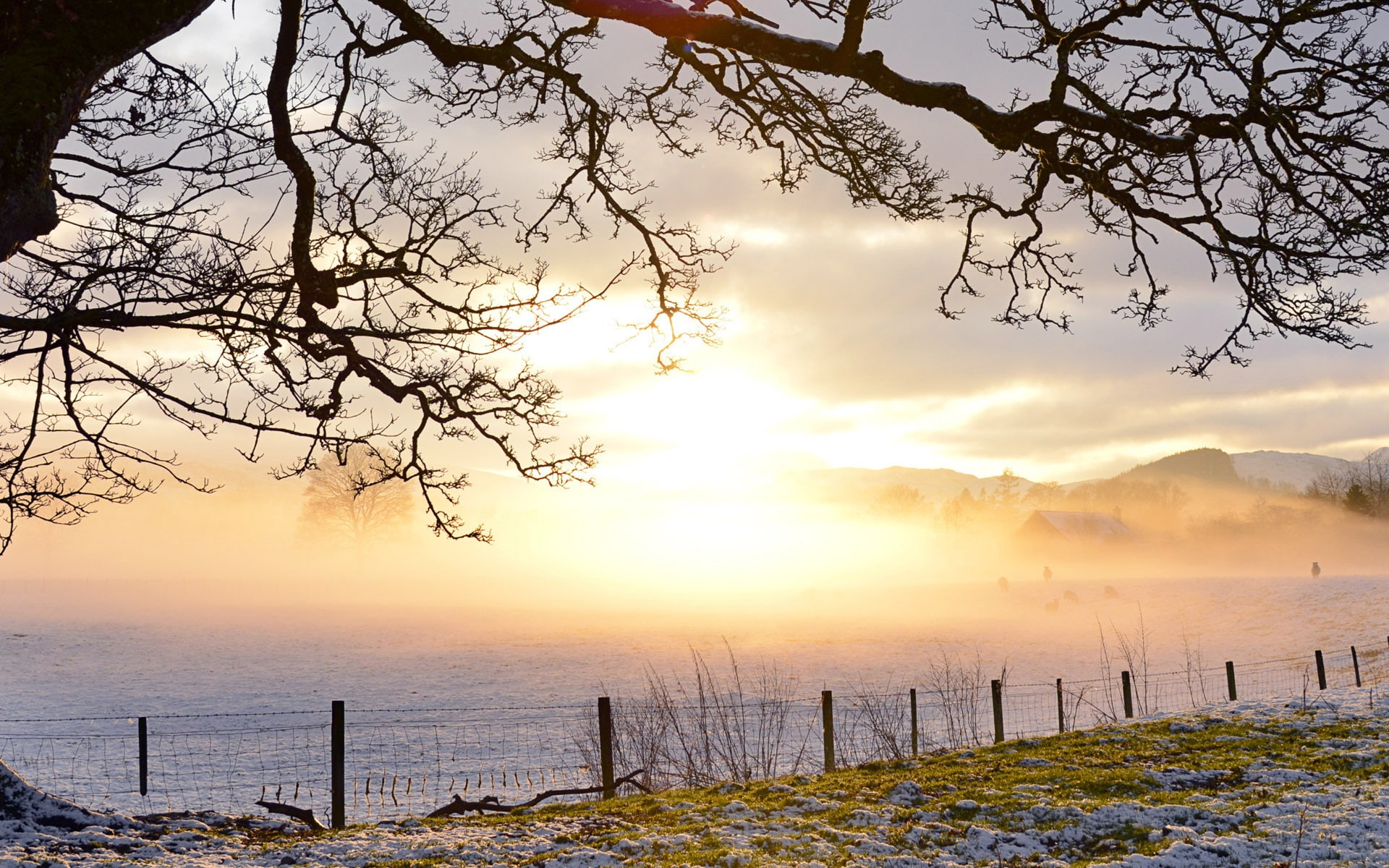 tranquility, orange color, scenics - nature, outdoors, beauty in nature, snow, fence, wooden post, sky, wallpape, windows, beach, nature, sunset, non-urban scene, HD Wallpaper