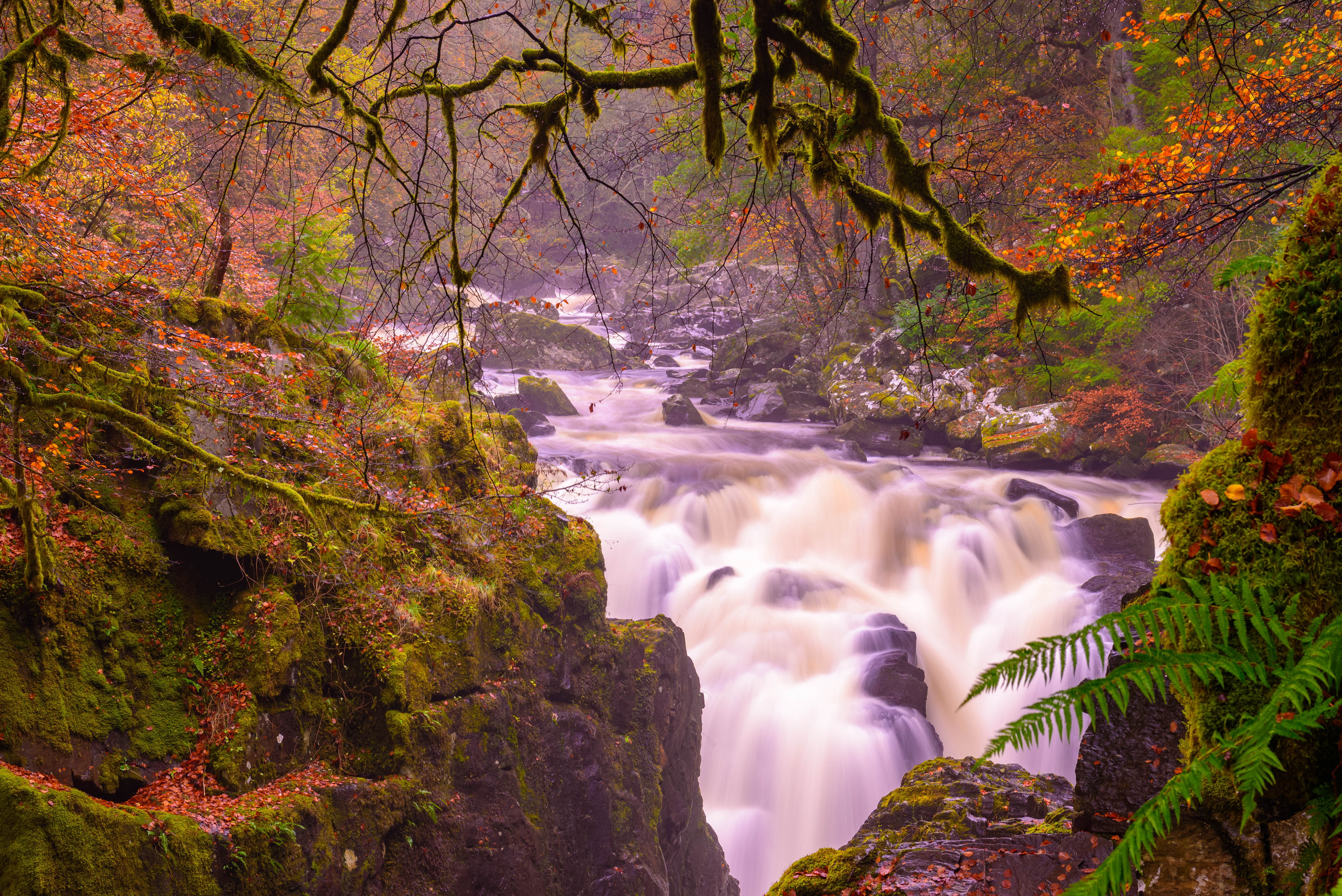 the river bran, Perthshire, Ossians Hall of Mirrors, The Hermitage, autumn, cascade, moss, waterfall, 5K, branches, River Braan, stones, river, Dunkeld, HD Wallpaper