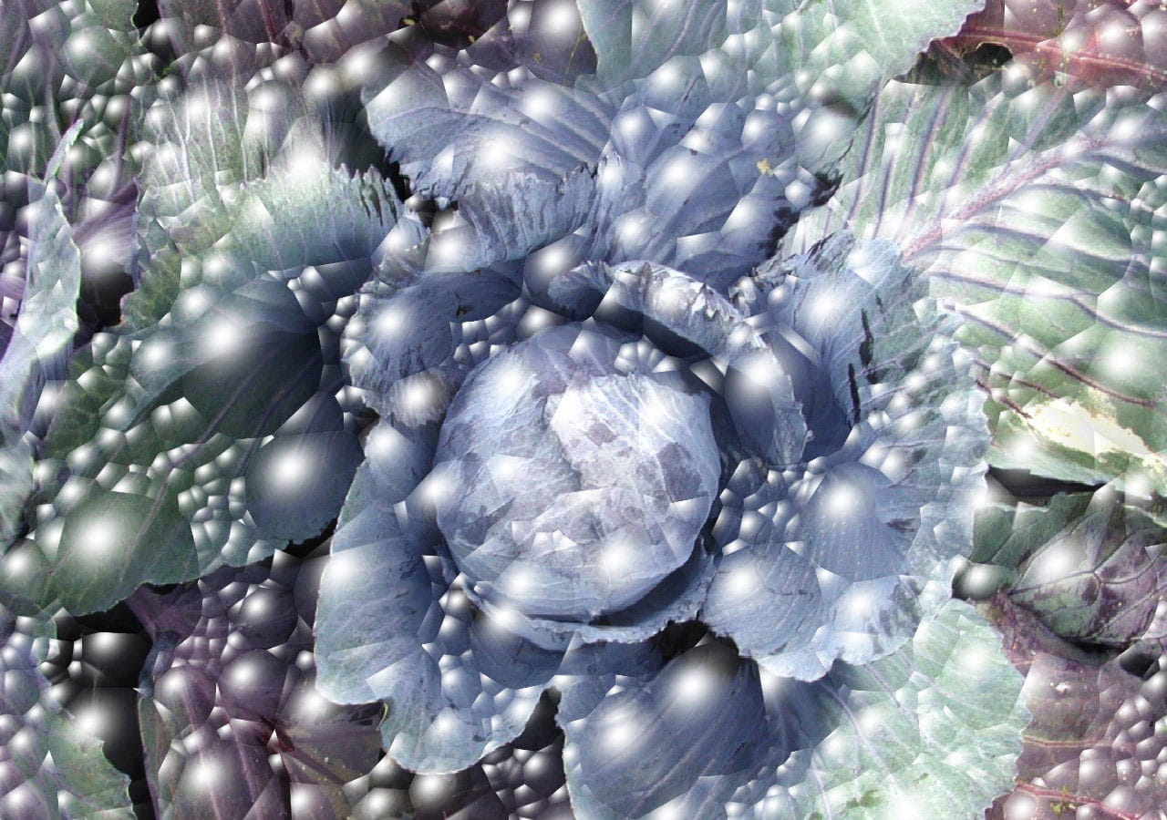 flowing, beauty in nature, abundance, nature, vulnerability, Cabbage, motion, fragility, indoors, precious gem, 720P, shiny, pattern, drop, turbulent, HD Wallpaper