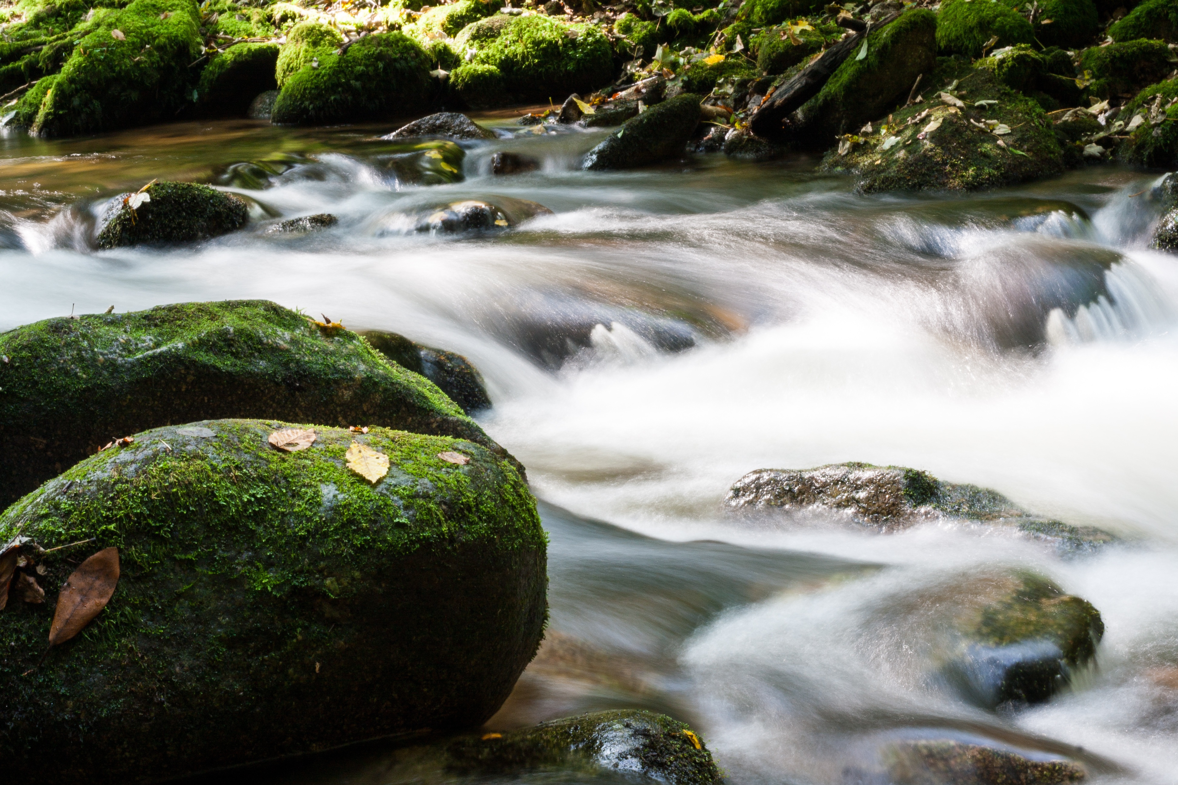 environment, nature, streaming, beauty in nature, rock, scenics, recovery, flowing, water, outdoors, time, flowing water, scenics - nature, relaxation, HD Wallpaper