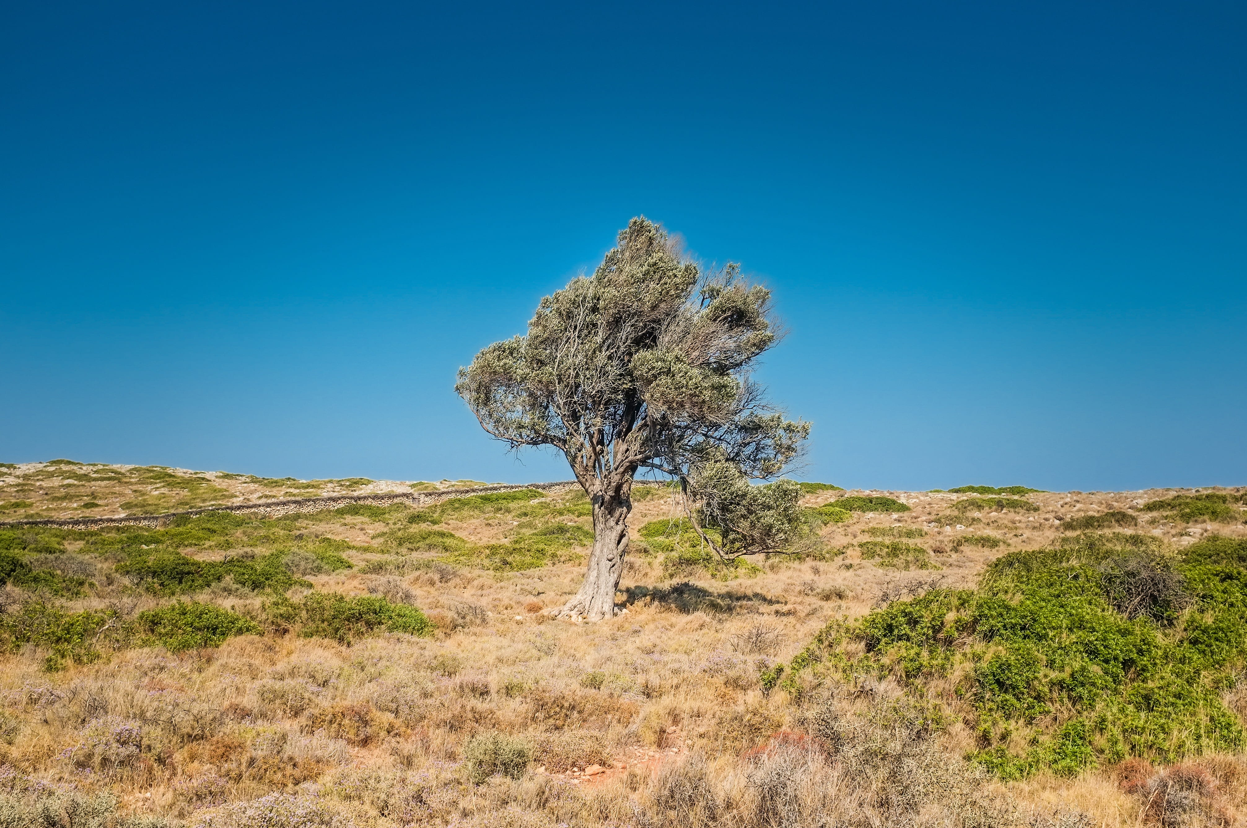 historical, geological, volcanic, spirit, pattern, non-urban scene, wind, beauty in nature, plant, climate, field, sites, arid, semi-arid, dramatic, wilderness, HD Wallpaper