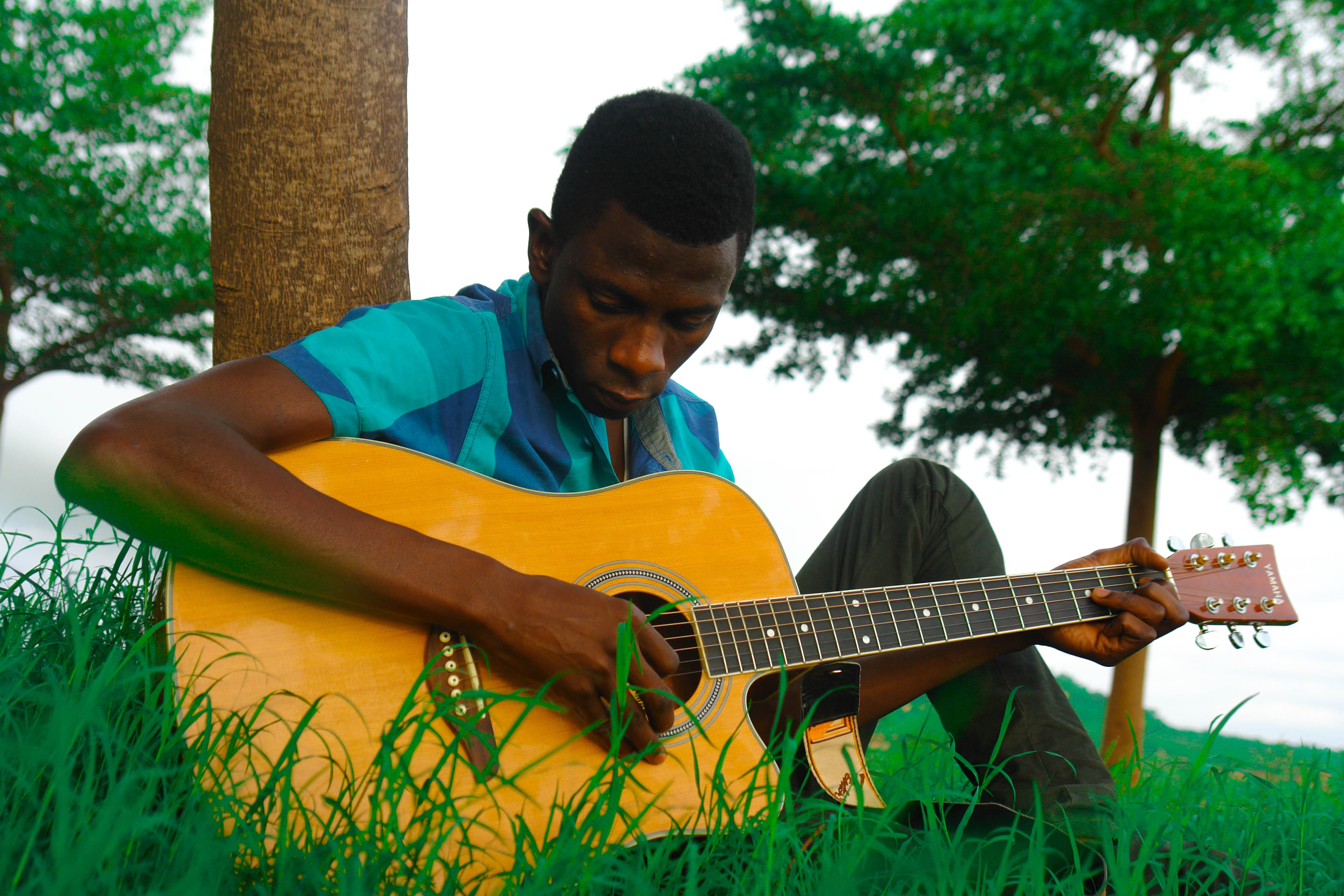 day, one person, young men, tree, near, field, playing, man, front view, male, string instrument, acoustic guitar, sitting, plant, outdoors, music, plucking an instrument, HD Wallpaper
