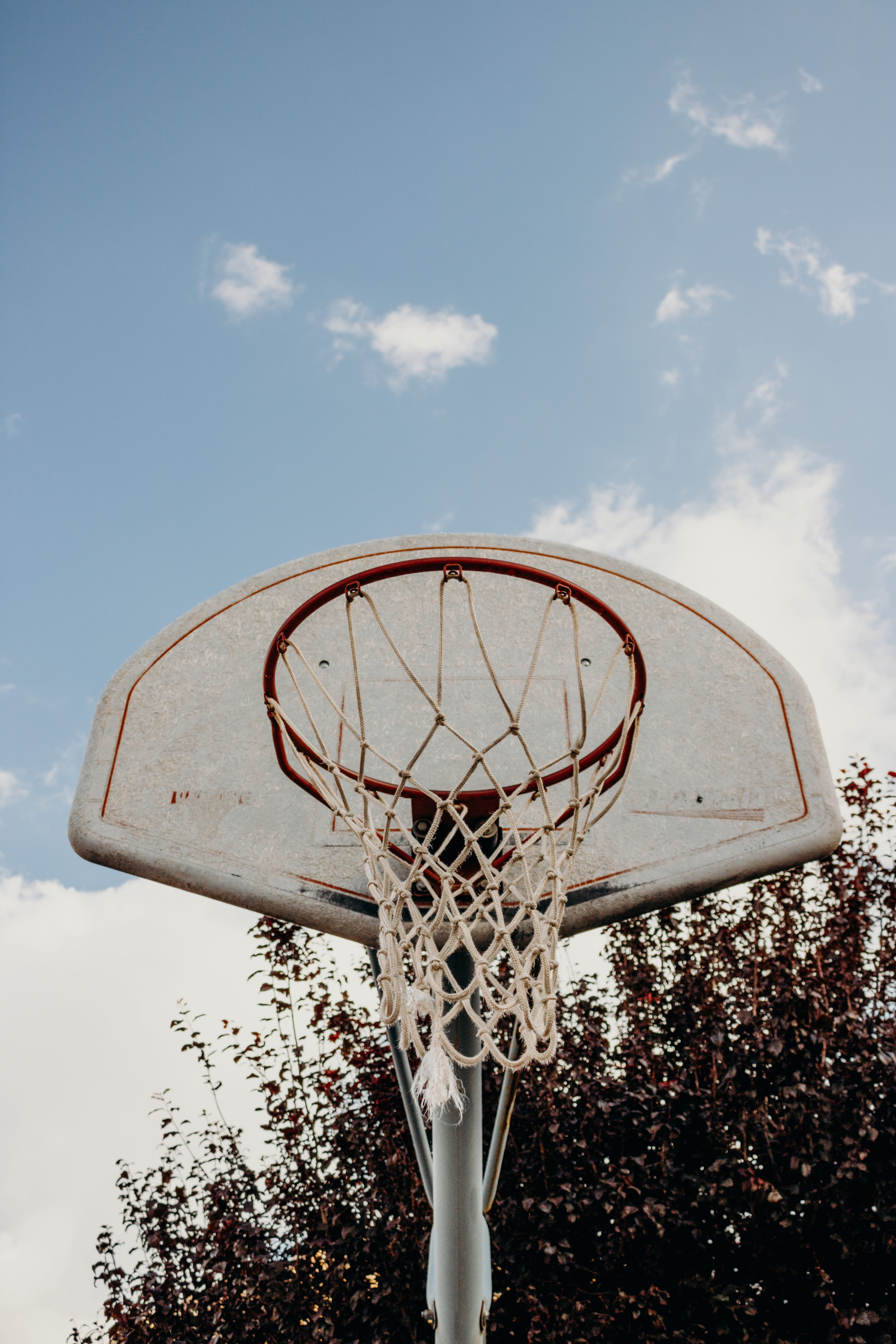 plant, making a basket, net - sports equipment, low angle view, sedona, outdoors, leisure games, team sport, basketball - ball, sky, day, basketball - sport, Phone HD Wallpaper