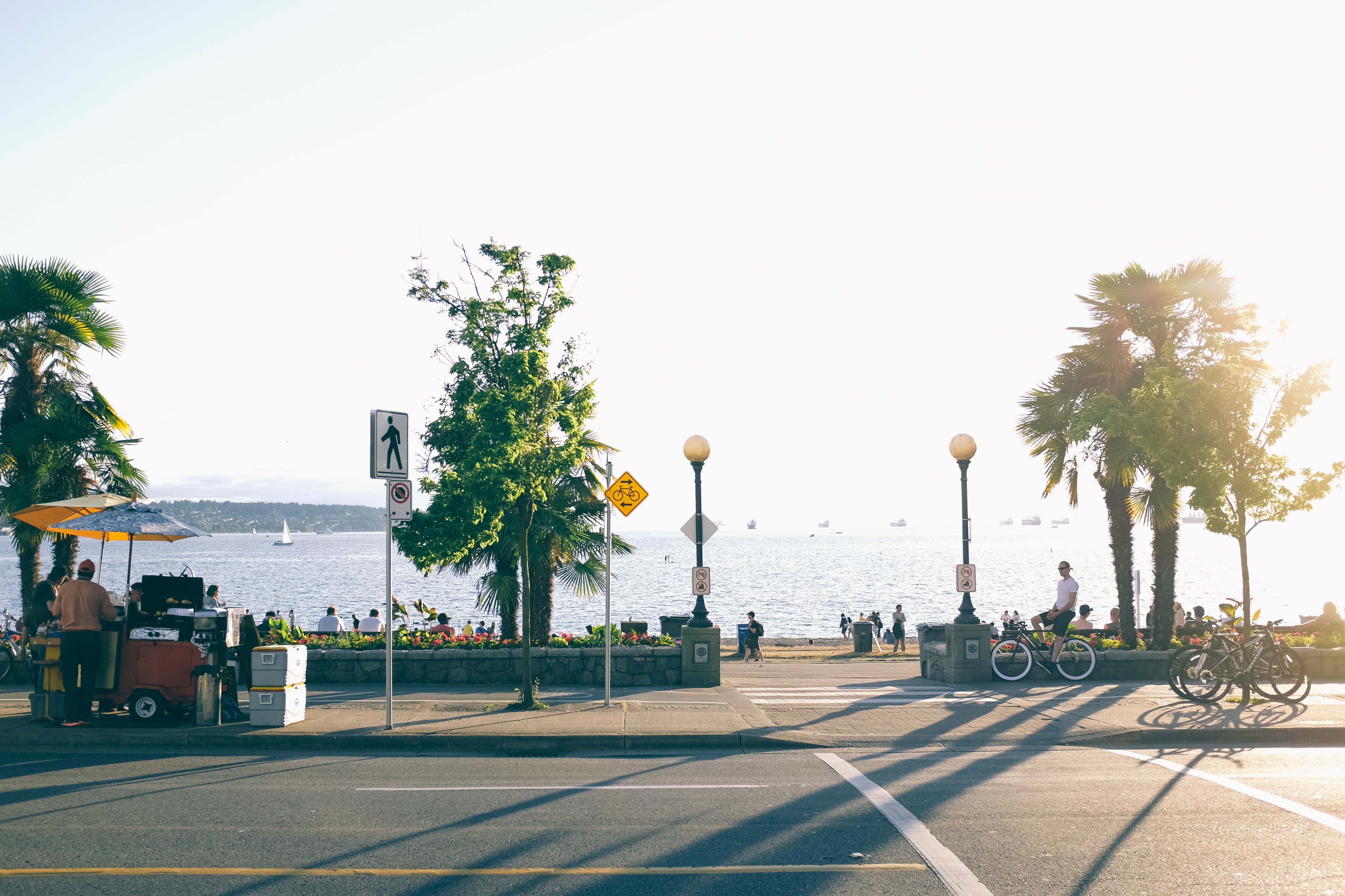 sign, people, ocean, transportation, family, beach, near, board, bicycle, plant, 4K, treelined, bike, coast, street light, water, sunny, land vehicle, HD Wallpaper