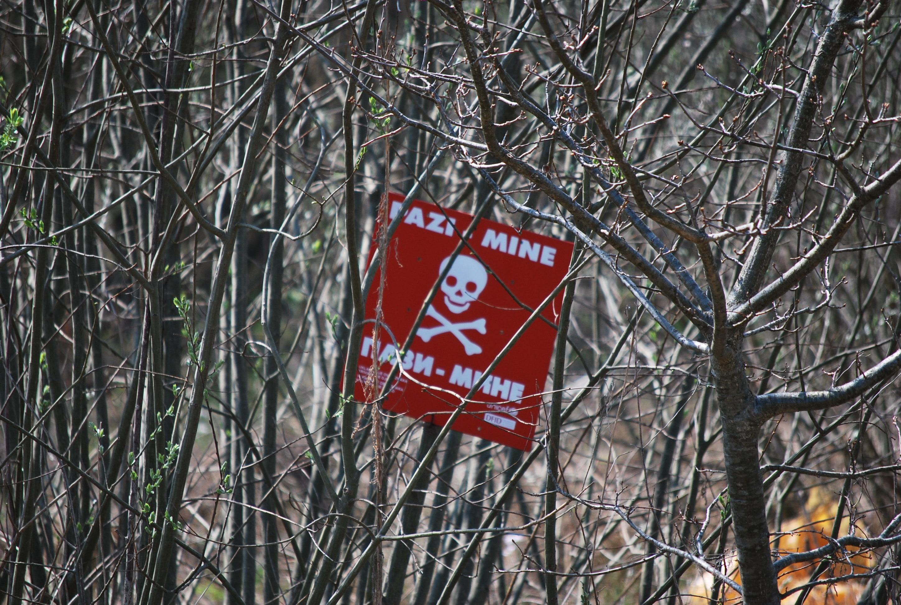land mine, land mines, forest, trees, communication, tree, focus on foreground, white, road sign, tree trunk, information, nature, lock, day, warning sign, HD Wallpaper