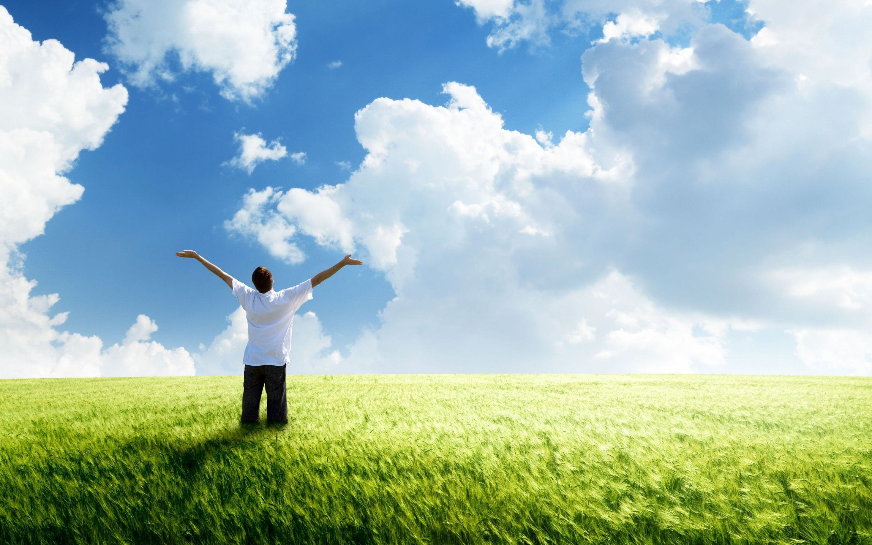 sky, nature, one person, plant, man, mood, outdoors, environment, cloud - sky, horizon, human arm, land, leisure activity, dom, field, standing, landscape, HD Wallpaper