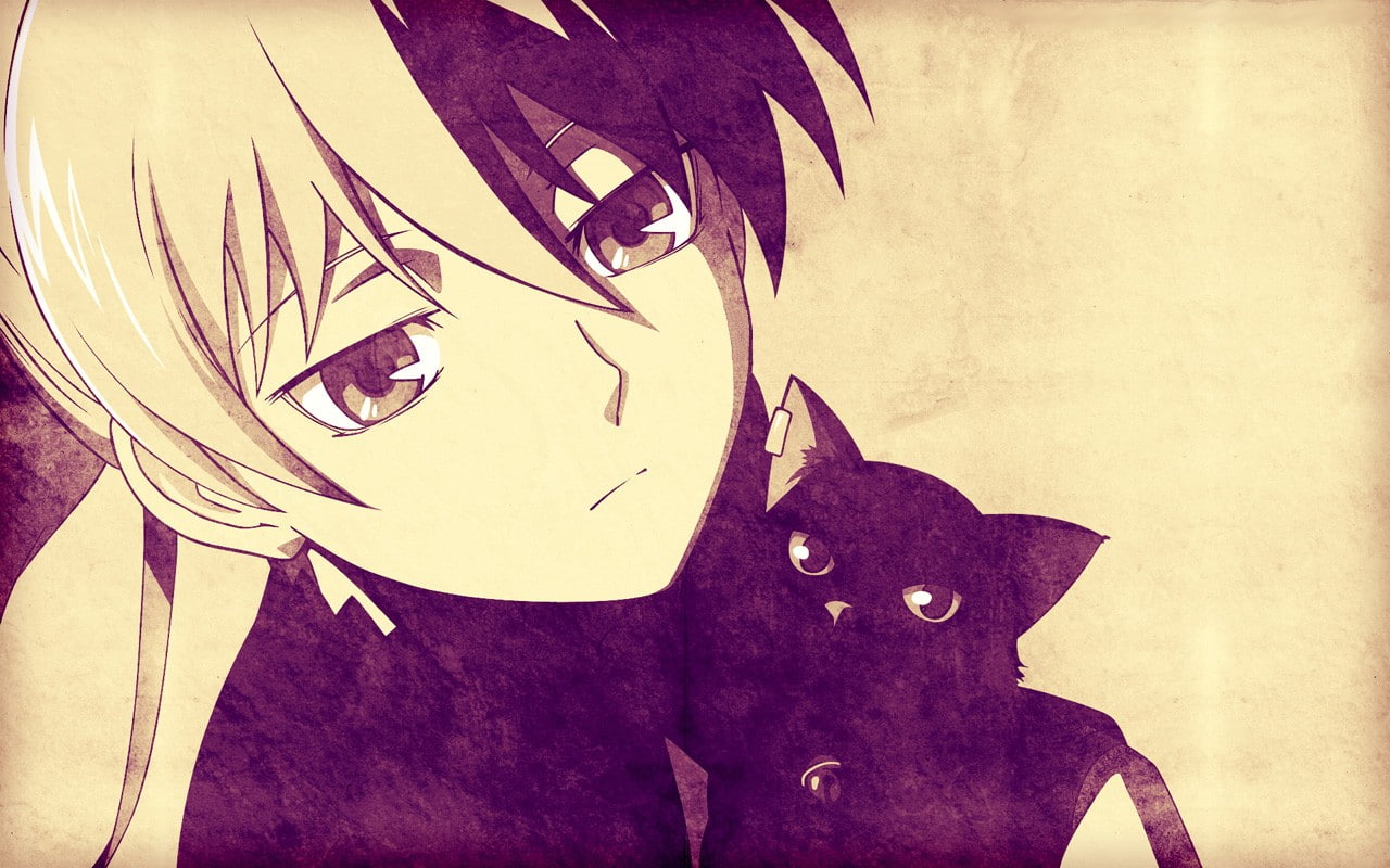 Darker than Black, anime girls, Yin, cat, anime, Mao, 720P, HD Wallpaper