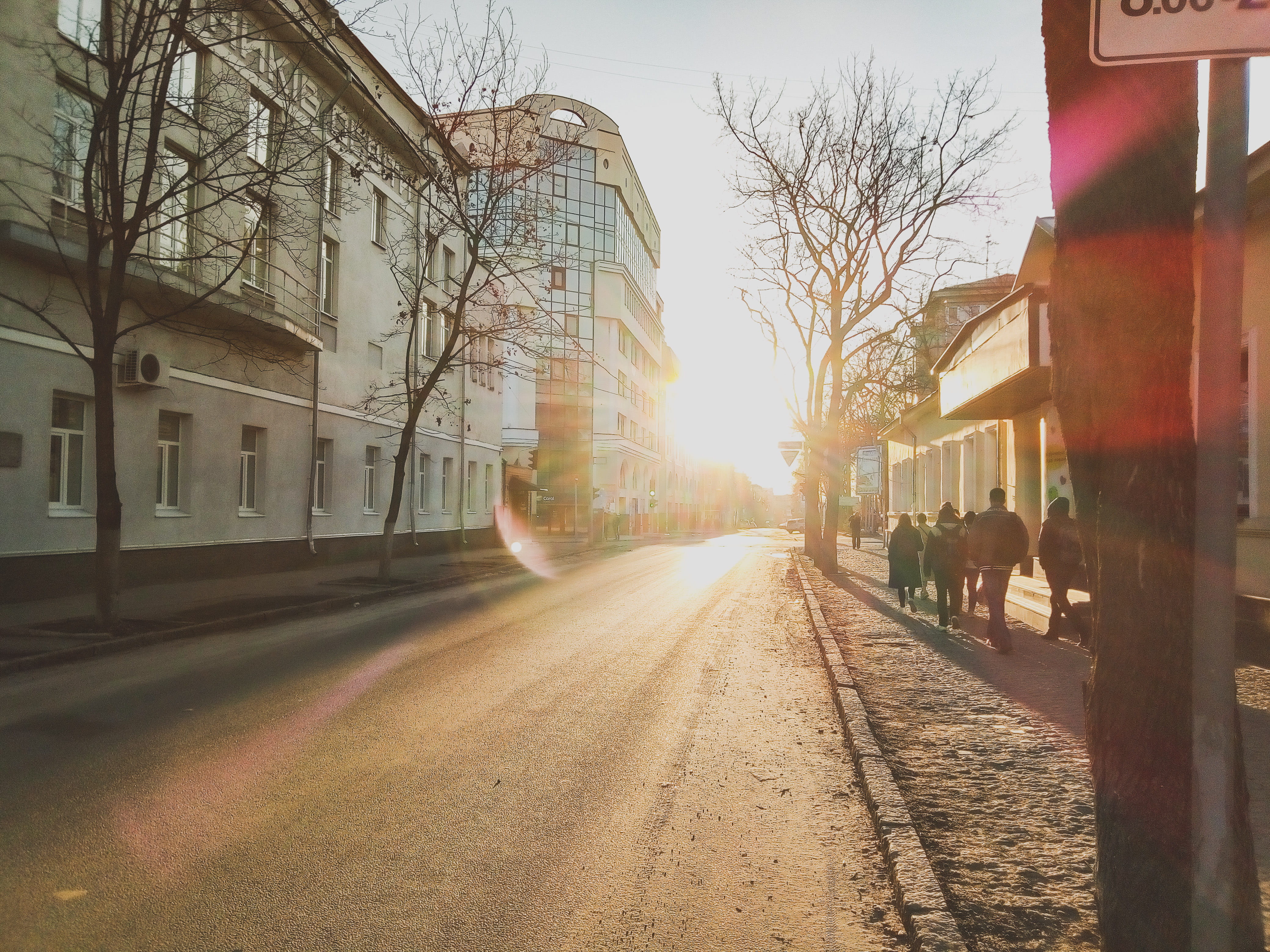 sky, light, direction, nature, diminishing perspective, kharkiv, bare tree, the way forward, street, bright, plant, road, transportation, buildings, day, HD Wallpaper