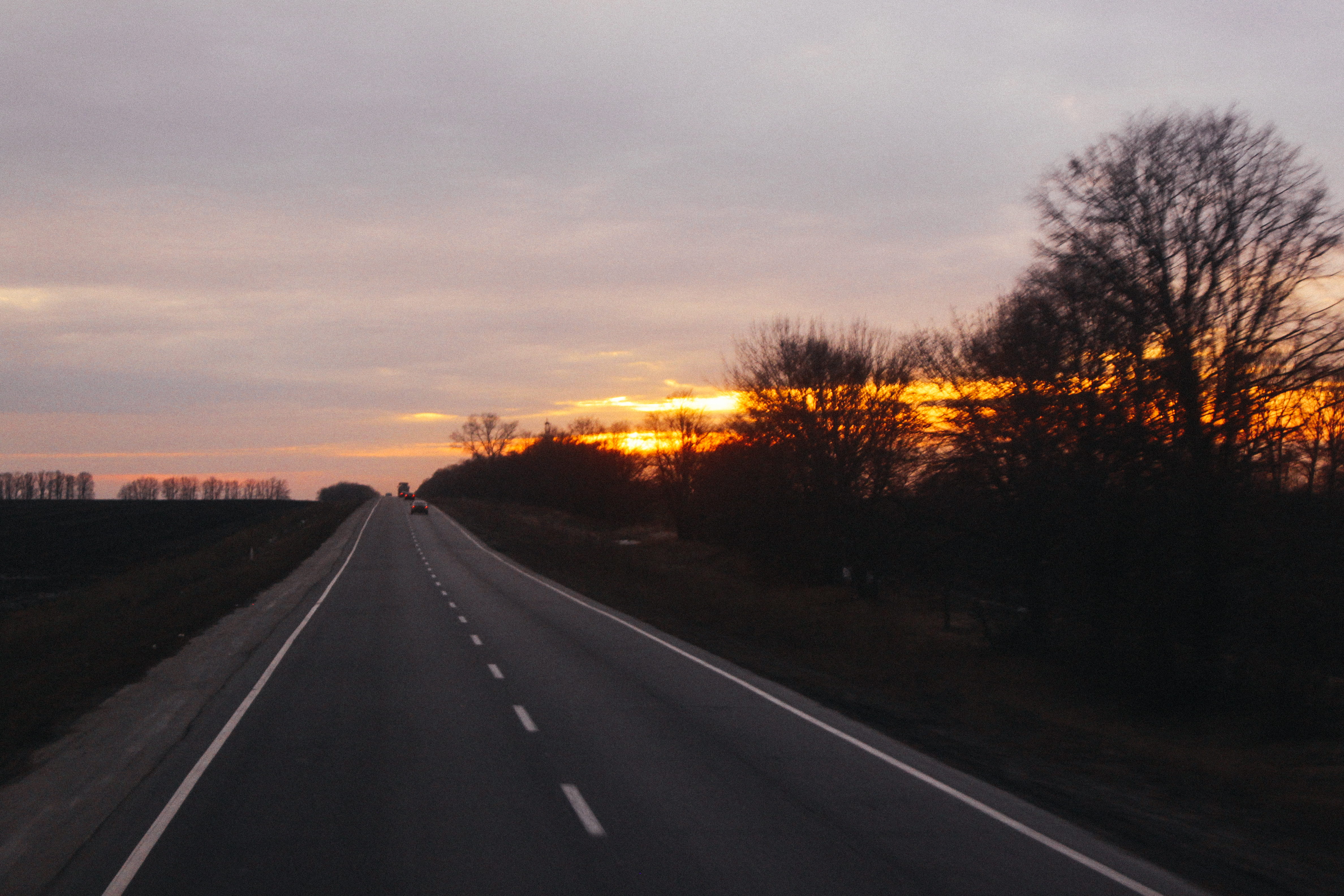 journey, sunset, dusk, road, plant, trees, no people, countryside, forest, diminishing perspective, cloud - sky, the way forward, sky, golden, HD Wallpaper