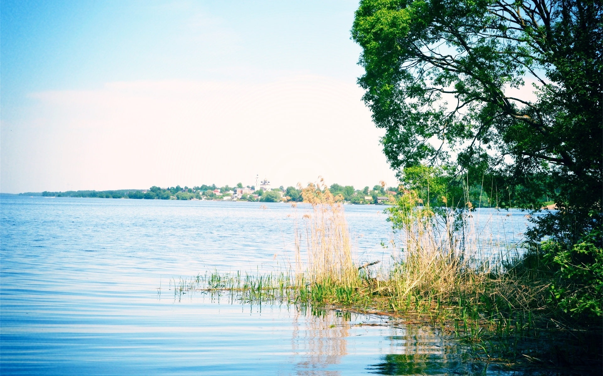 Glare, Russia, River, 1080P, Trees, Grass, Volga, HD Wallpaper