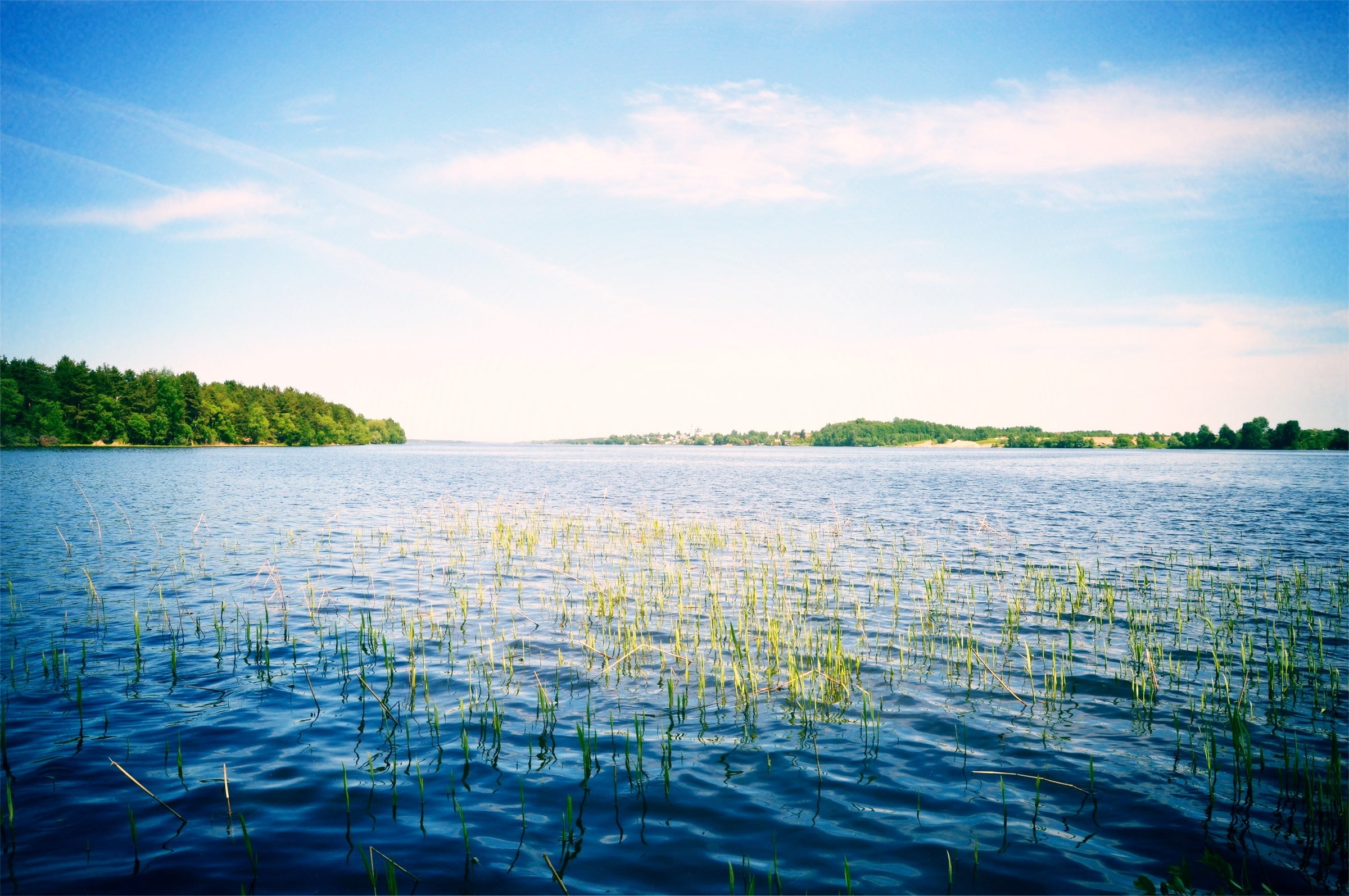 Nature, green, river, trees, Russia, the sky, 1080P, volga, HD Wallpaper