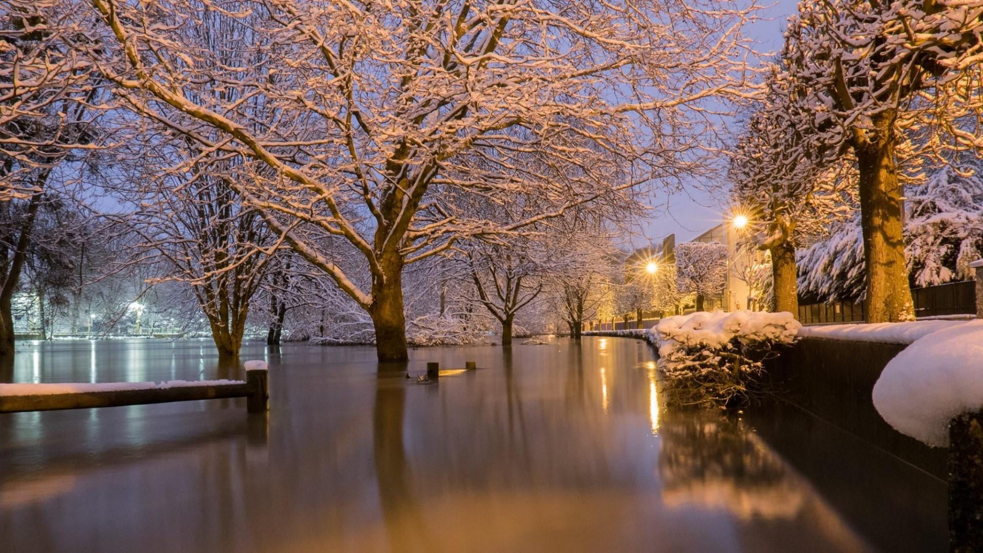 illuminated, dusk, tranquility, bare tree, midnight, tree, snow, france, marne, no people, reflection, water, built structure, 1080P, winter, waterfront, HD Wallpaper