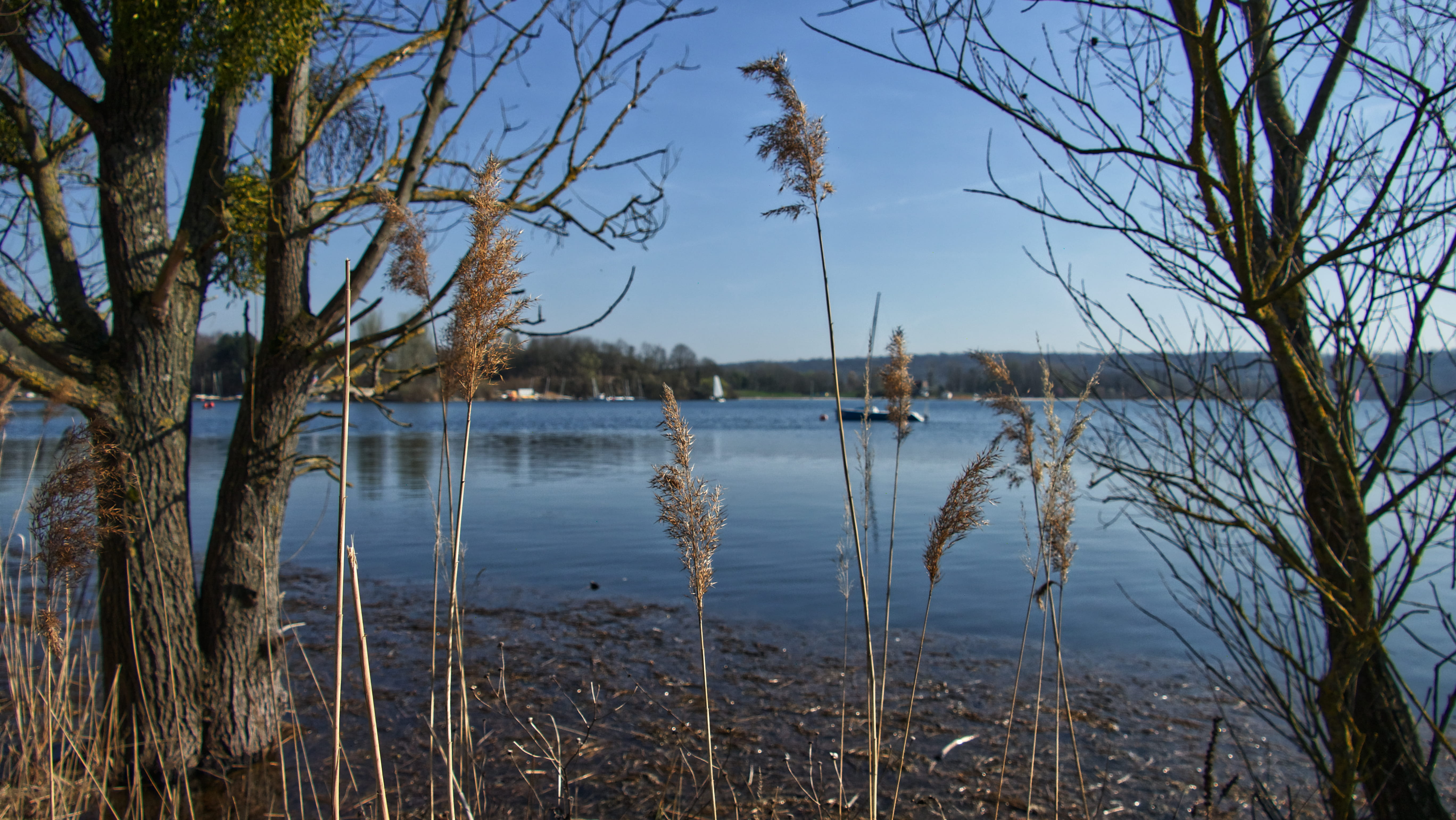 outdoors, unnamed road, trunk, grass, water, 5K, ditch, sky, growth, lake, annet-sur-marne, plant, no people, tranquil scene, vegetation, beach, lac, scenics - nature, HD Wallpaper