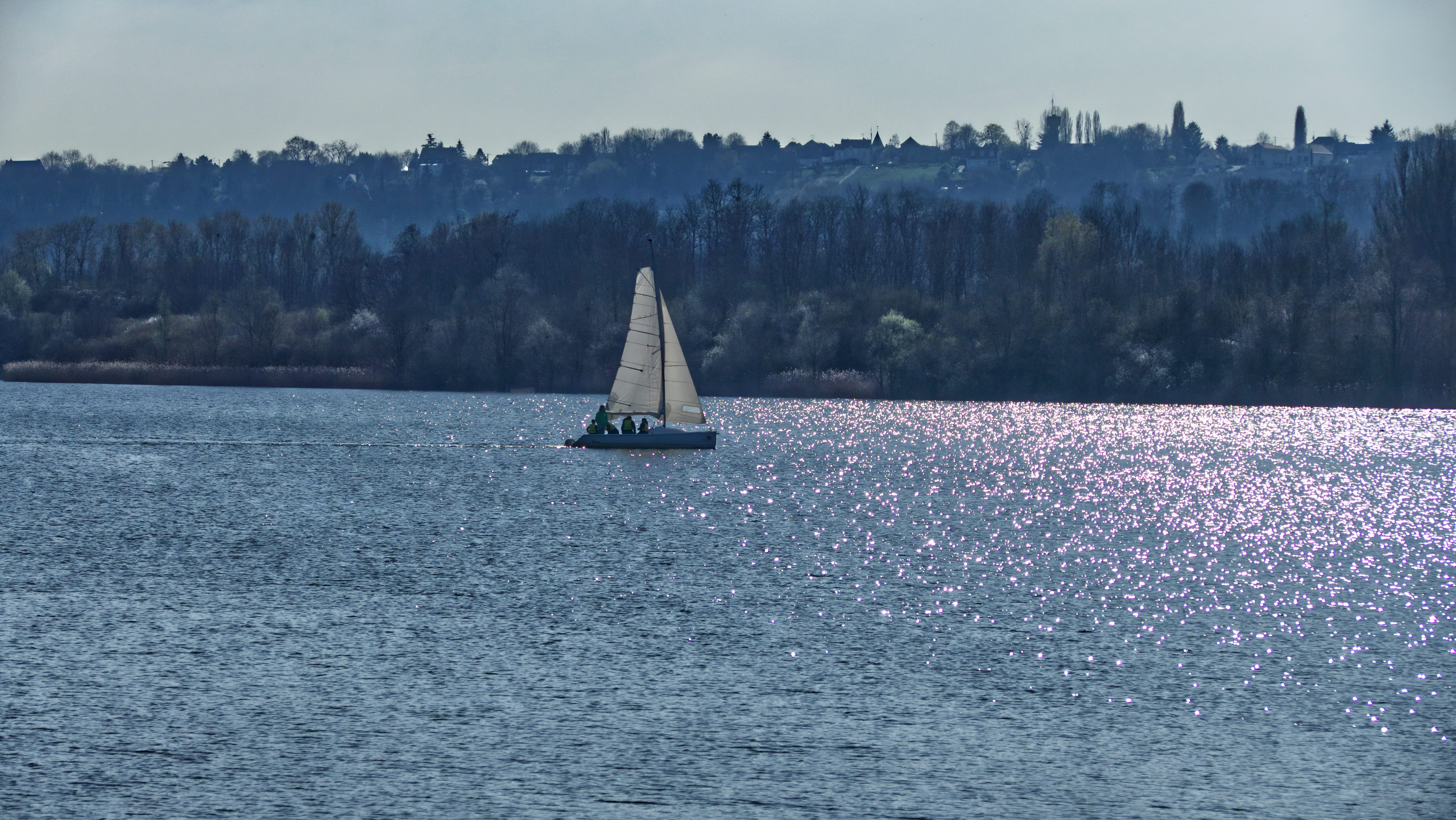 waterfront, tree, mode of transportation, outdoors, ferry, sailboat, travel, transportation, annet-sur-marne, nature, tranquil scene, barge, ship, plant, HD Wallpaper