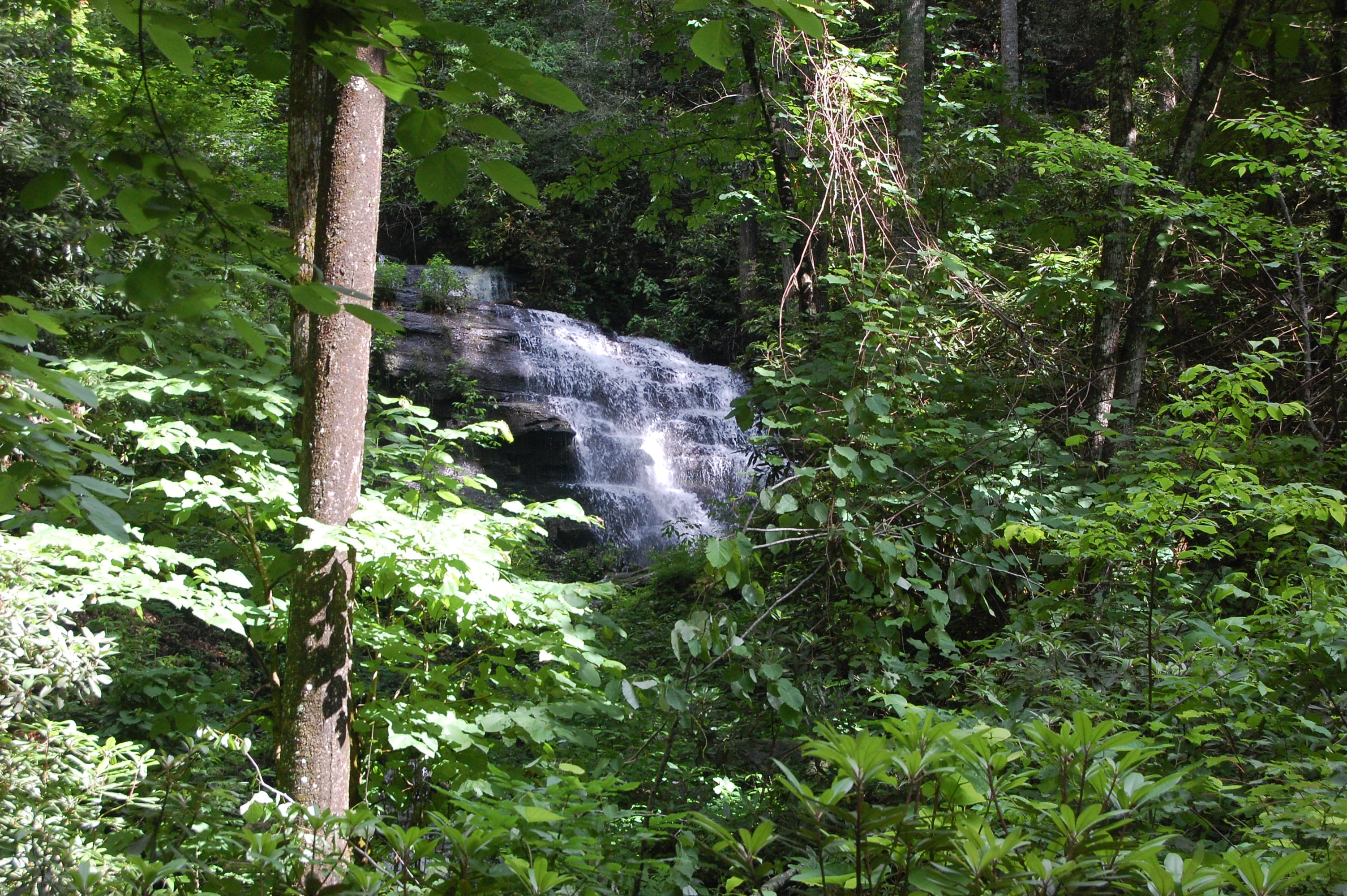 non-urban scene, brevard, falling water, flowing, waterfall, motion, growth, 2K, no people, scenics - nature, united states, nature, water, forest.pisgah, HD Wallpaper