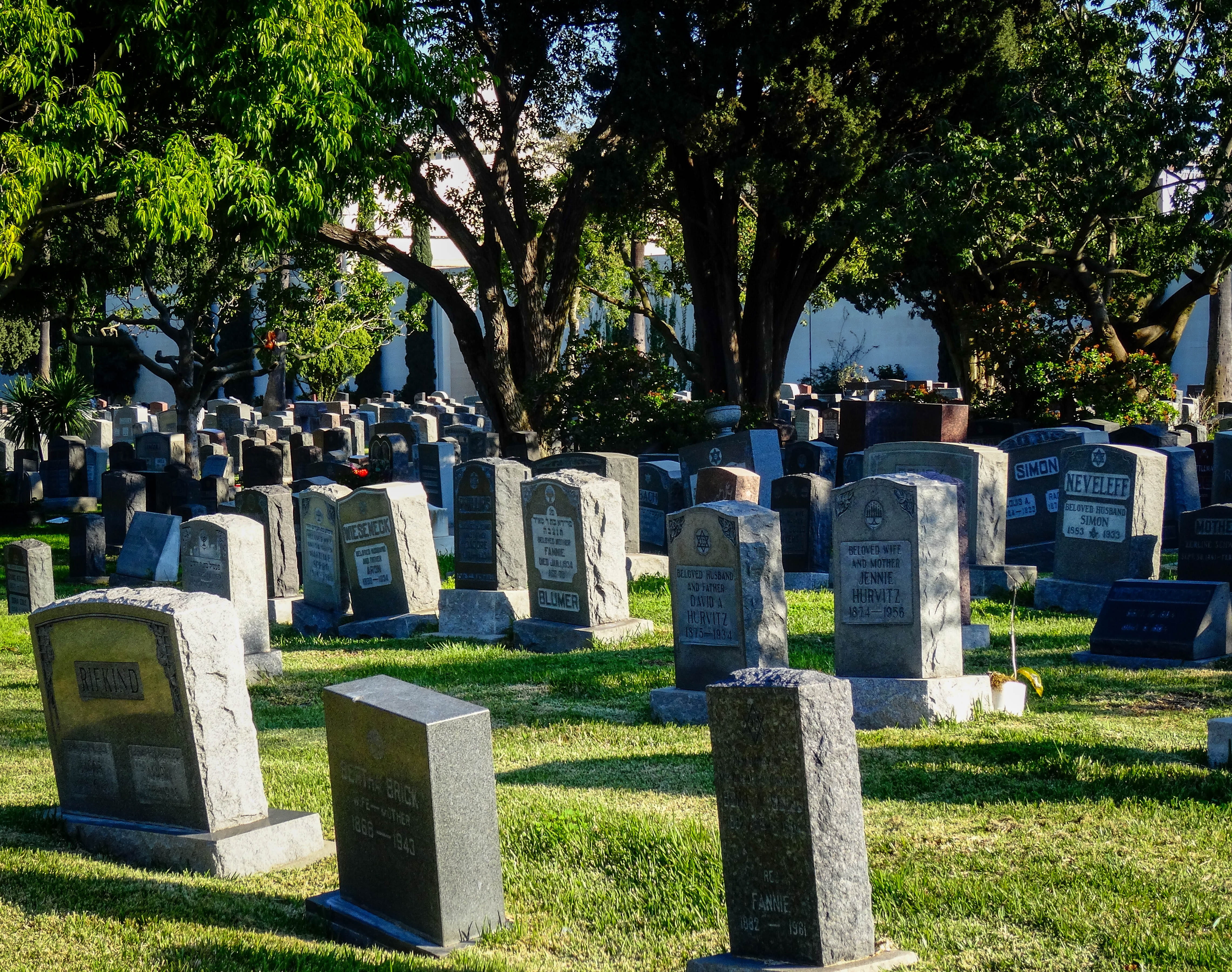 jews, the past, commemorate, outdoors, grave stones, grass, 4K, judaism, sunlight, memorial, plant, nature, sadness, jewish cemetery, california, government, HD Wallpaper