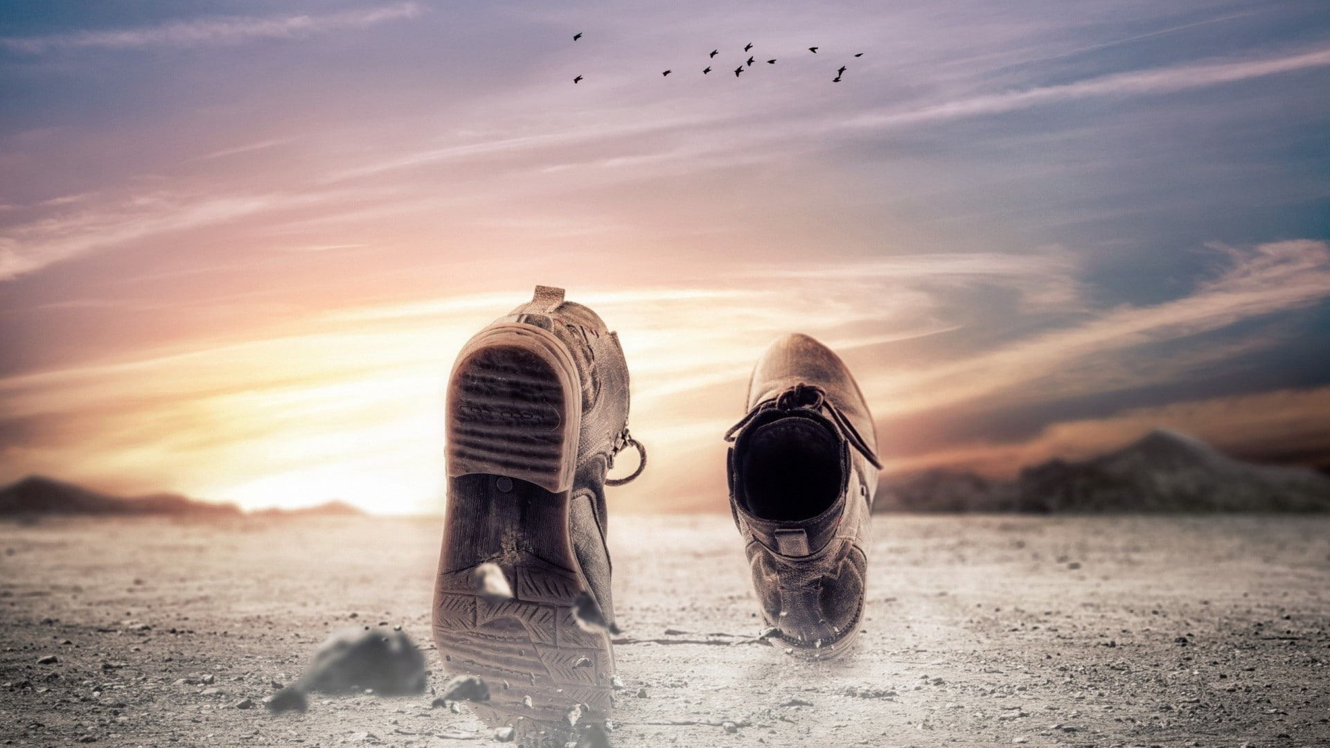sand, Photoshop, walking, warm clothing, animal, sunset, sea, animal themes, land, fantasy art, stones, beach, nature, shoe, birds, shoes, cloud - sky, HD Wallpaper