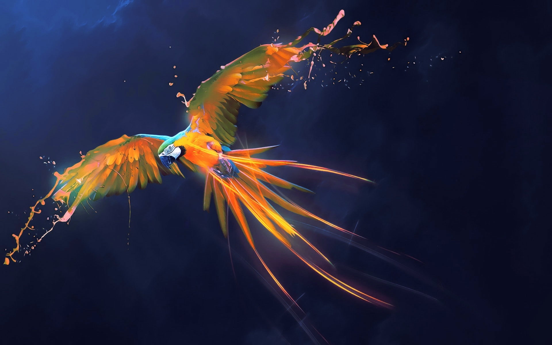 bird, fantasy, pasare, 1080P, Parrot, papagal, wings, orange, HD Wallpaper