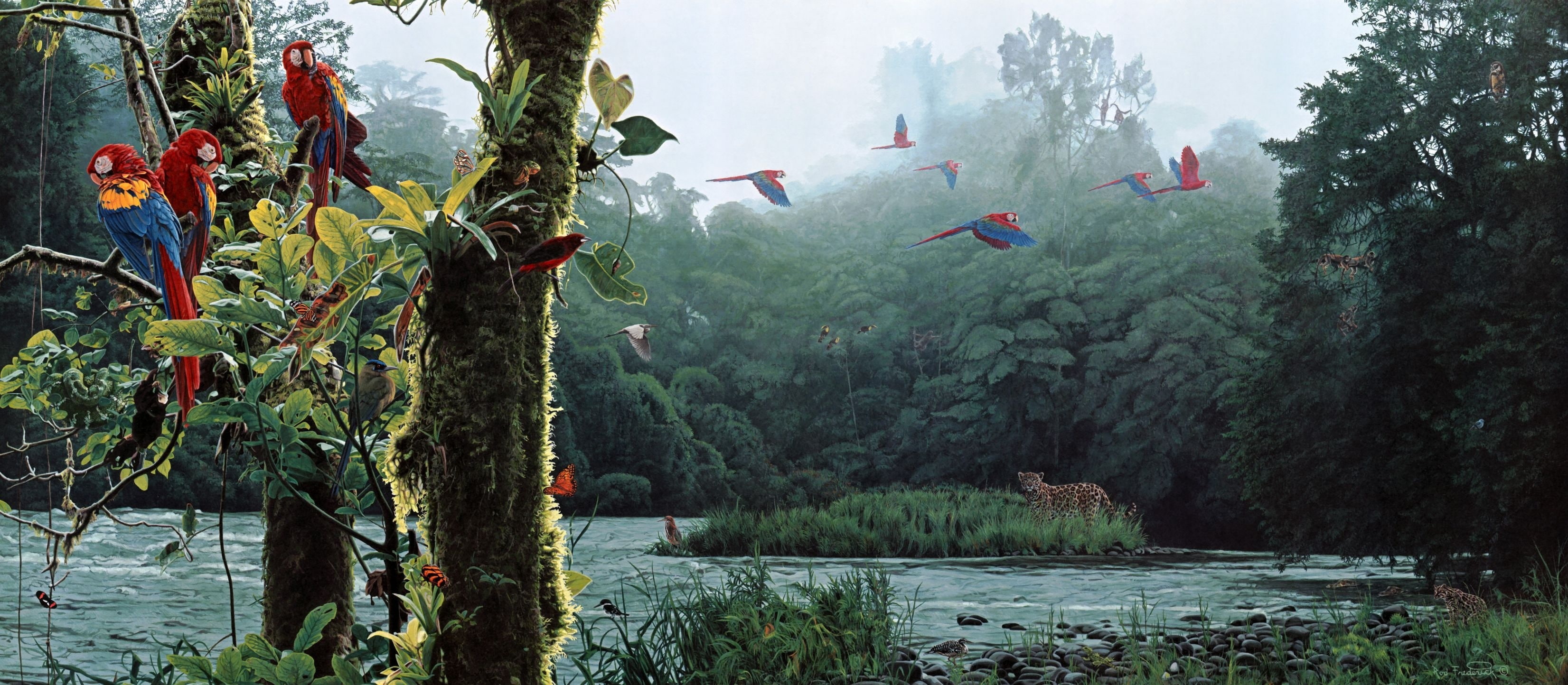 2K, Trees, rivers, birds, Flying, fantasy, forest, paintings, scenic, Jungle, colors, parrot, nature, landscapes, HD Wallpaper