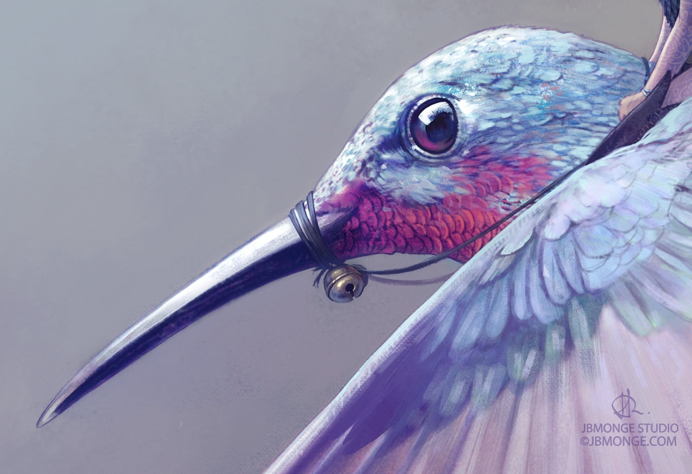 pasare, animal themes, animal wildlife, beak, gray, one animal, animal head, purple, day, jean-baptiste monge, close-up, focus on foreground, luminos, beauty in nature, HD Wallpaper