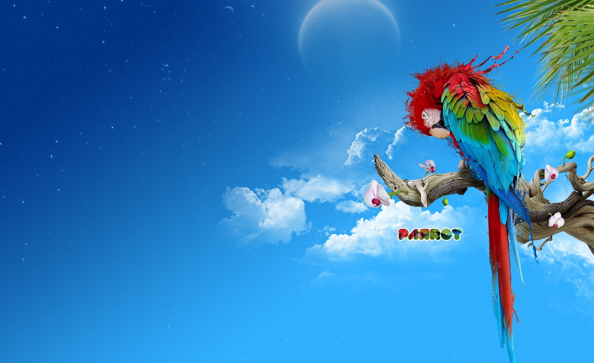 celebration, macaw, sky, digital, cloud - sky, parrot, no people, plant, blue, religion, digital composite, moon, flower, blue sky, blue background, HD Wallpaper