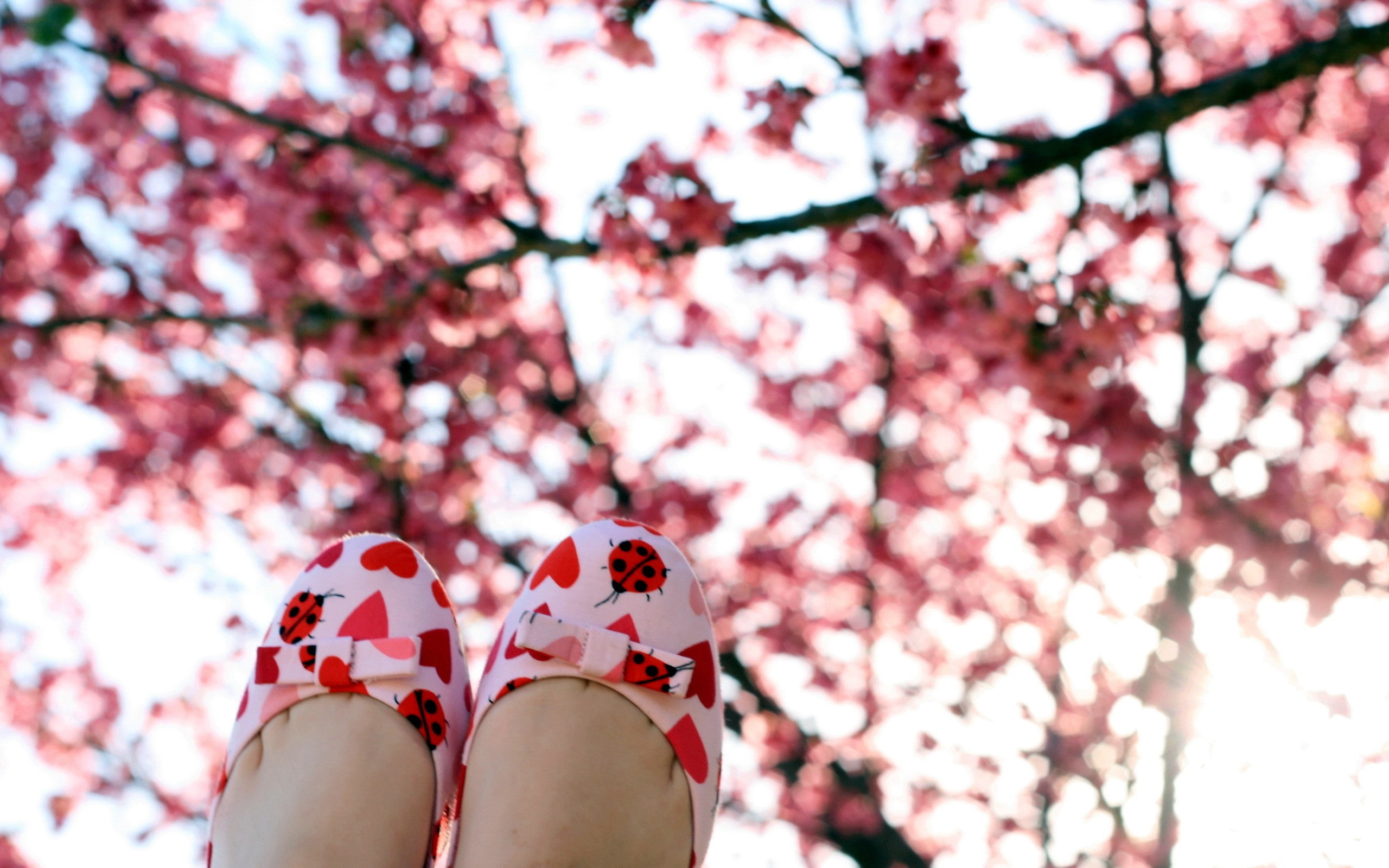 trees, feet, 2K, shoes, HD Wallpaper