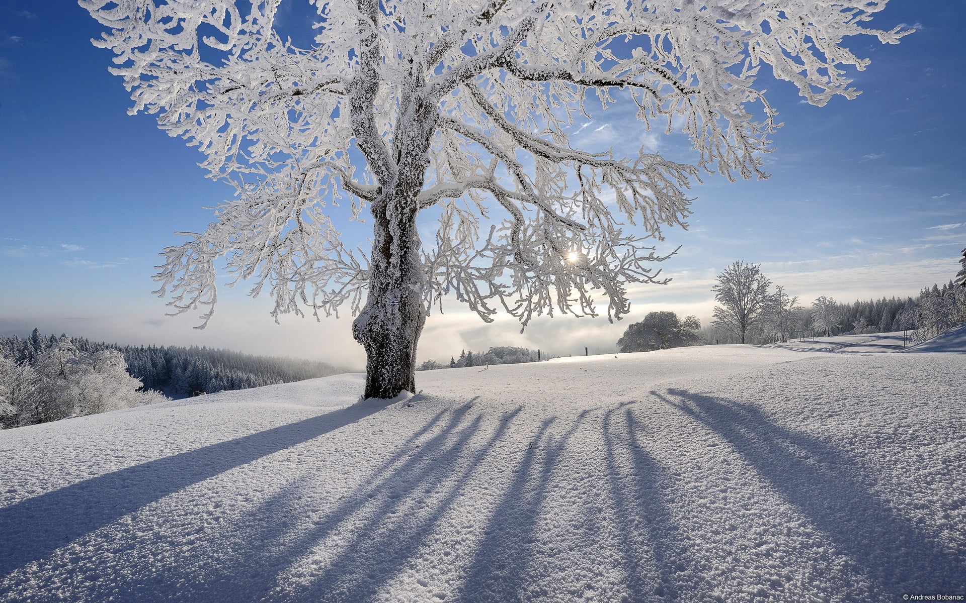blue, tranquility, scenics - nature, white, gray hair, season, road, sun, mountain, bare, field, scenics, sky, shadows, 1080P, non-Urban Scene, snowing, HD Wallpaper