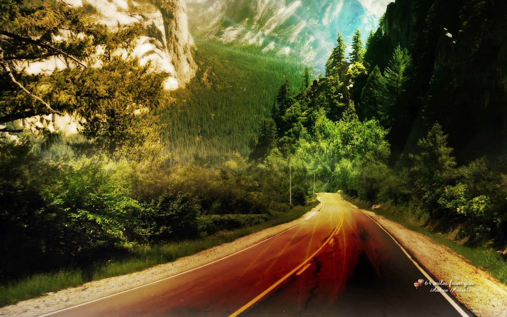 woodland, motion, road, highway, marking, growth, traffic, tranquil scene, grey, driving, wood, no People, landscape, the way forward, transportation, tranquility, HD Wallpaper