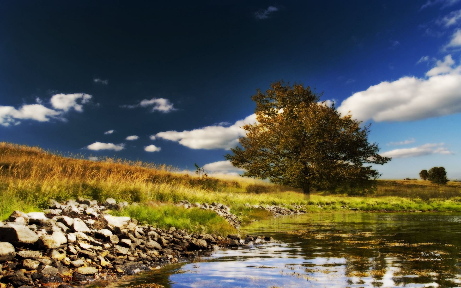 tranquility, sky, blue, environment, cloudscape, land, coast, forest, reflection, colors, beauty In Nature, swamp, grass, outdoors, scenics - nature, autumn, HD Wallpaper