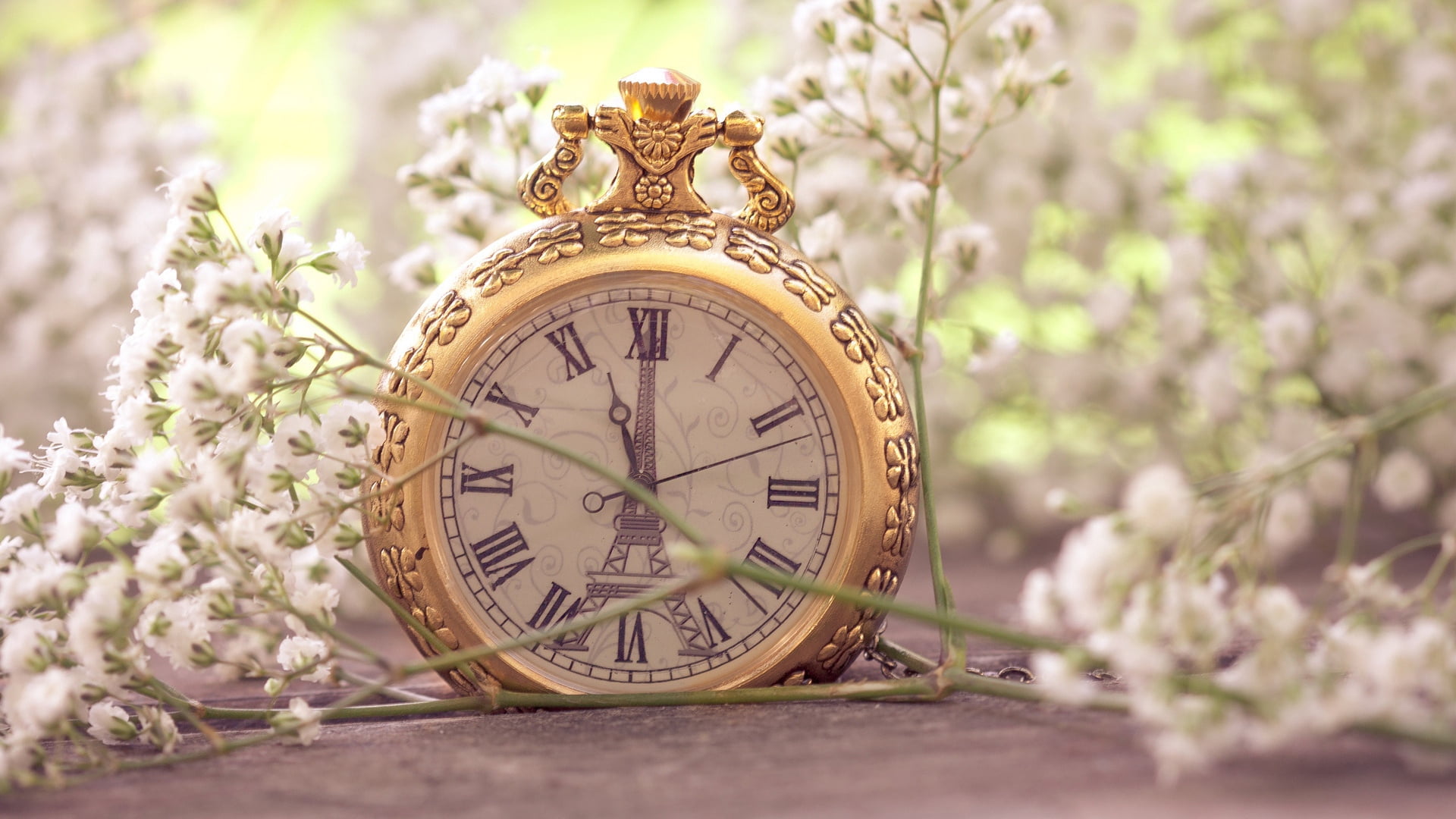 ornate, old, year, season, flowers, white, watch, flowering plant, pocket watch, alarm Clock, hour hand, plant, no People, clock hand, flower arrangement, HD Wallpaper